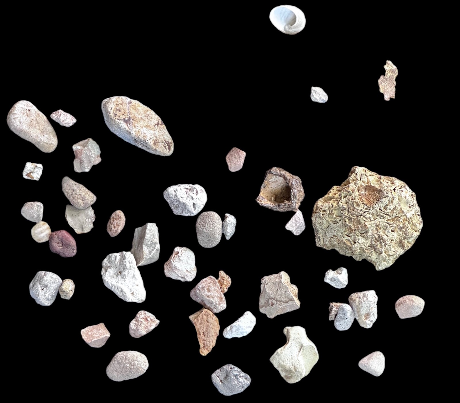 6 lbs Florida Chert Flint Native American Hammered Tools Pottery Shards Fossils