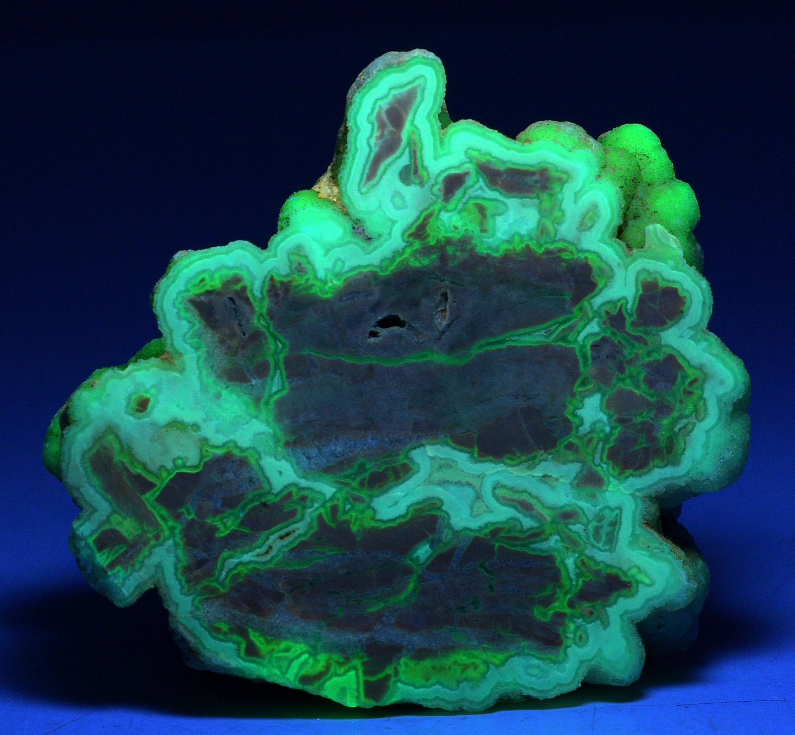 Excellent Youngite specimen, fluorescent. Guernsey, Wyoming. 232 grams.
