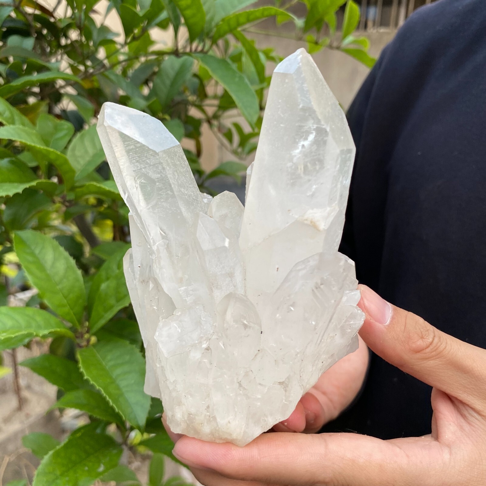 2.4lb Natural Clear White quart Crystal Cluster Raw Healing Specimen