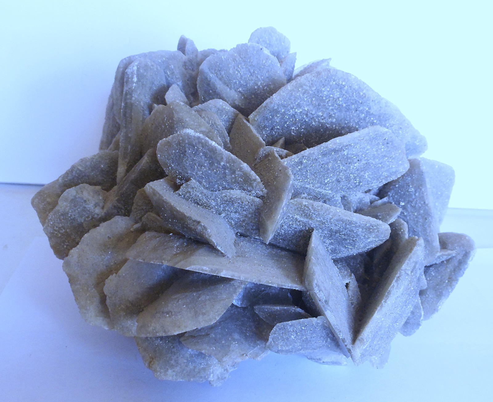 Huge Desert Rose Selenite. Natural. Gypsum. Saudi Arabia 9.0″ (23 cm). 7.1 Lb