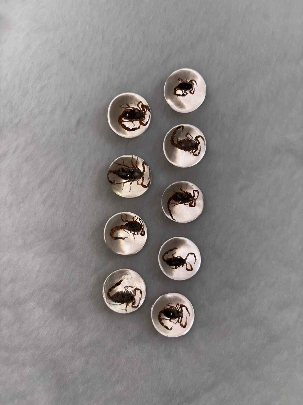 Scorpion Sphere Specimen In Resin Crystal Stone 9 Piece Lot