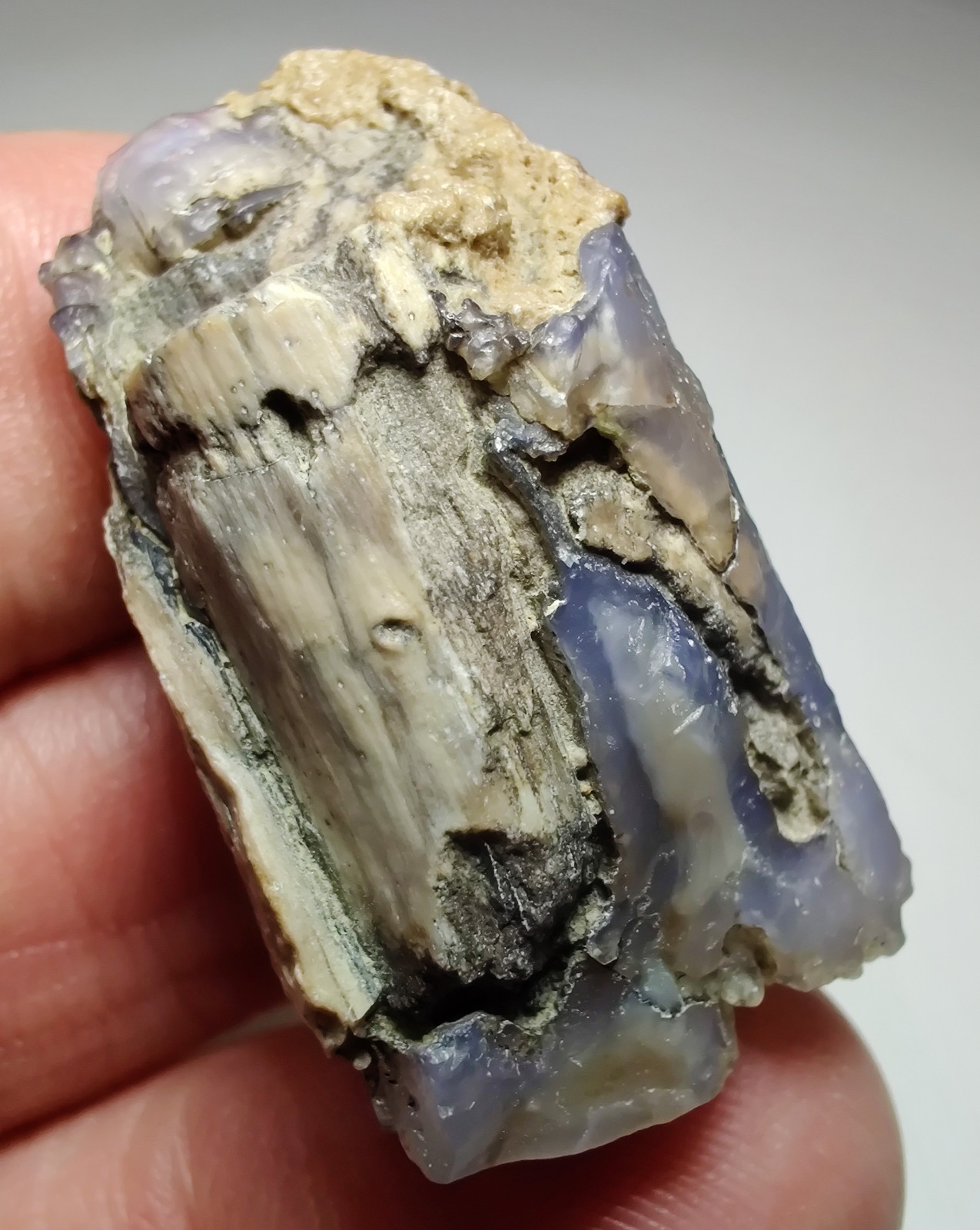 Petrified Wood, Fluorescent. Eden Valley, Wyoming. 20 grams.