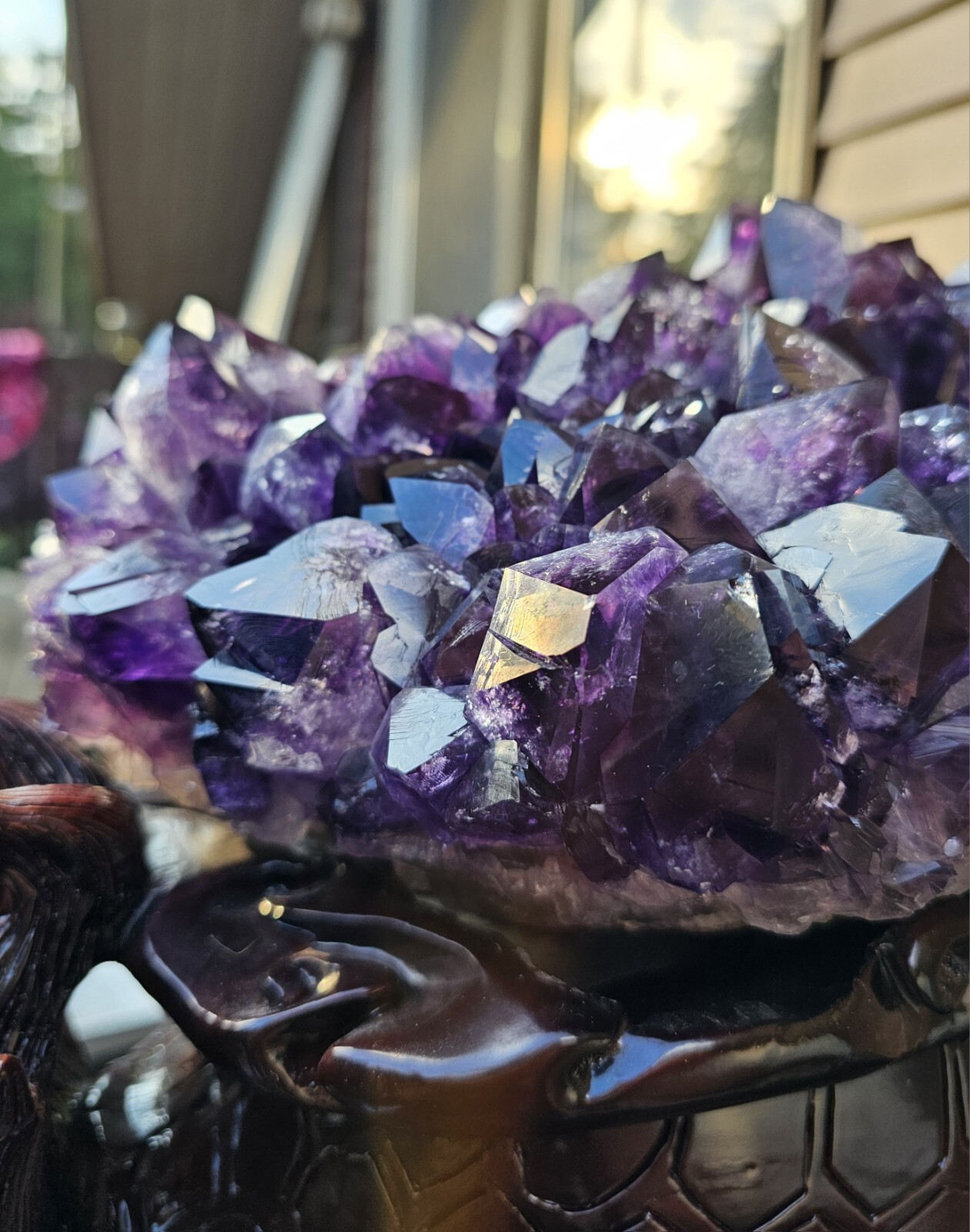 Rare Feng Shui Dragon Turtle with Large Amethyst Cluster