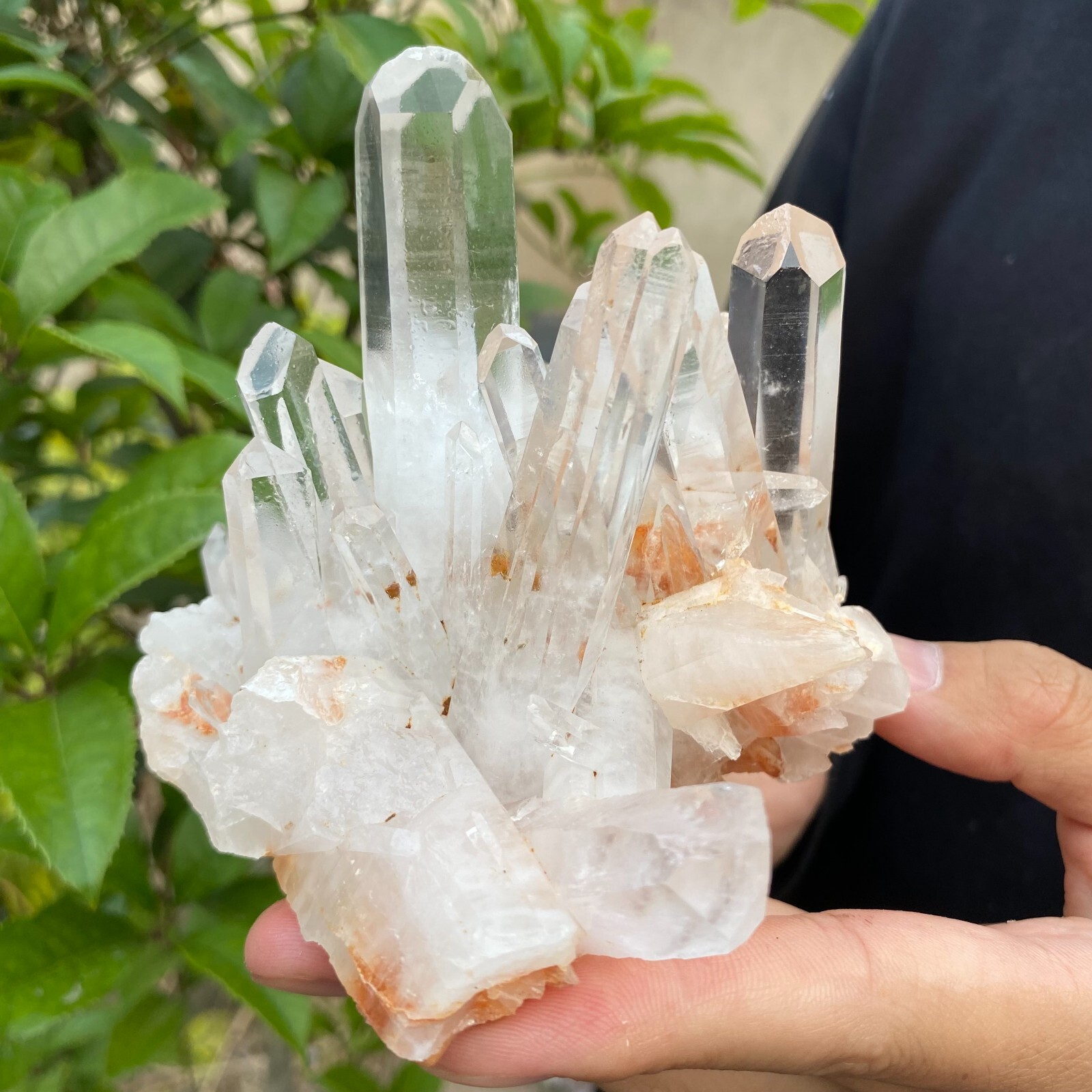 1.6lb Natural Clear White quart Crystal Cluster Raw Healing Specimen