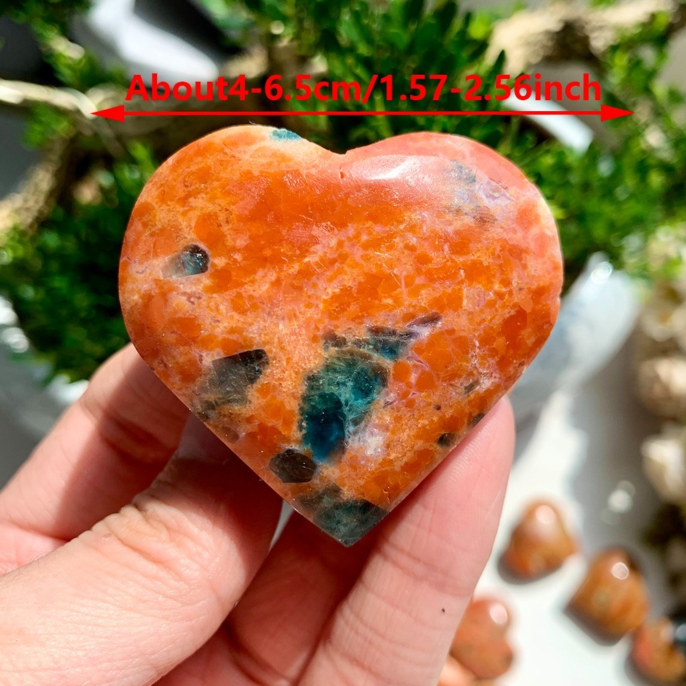2pc 50-100G Natural Blue Apatite Sunstone Symbiotic Heart Flashy Collect