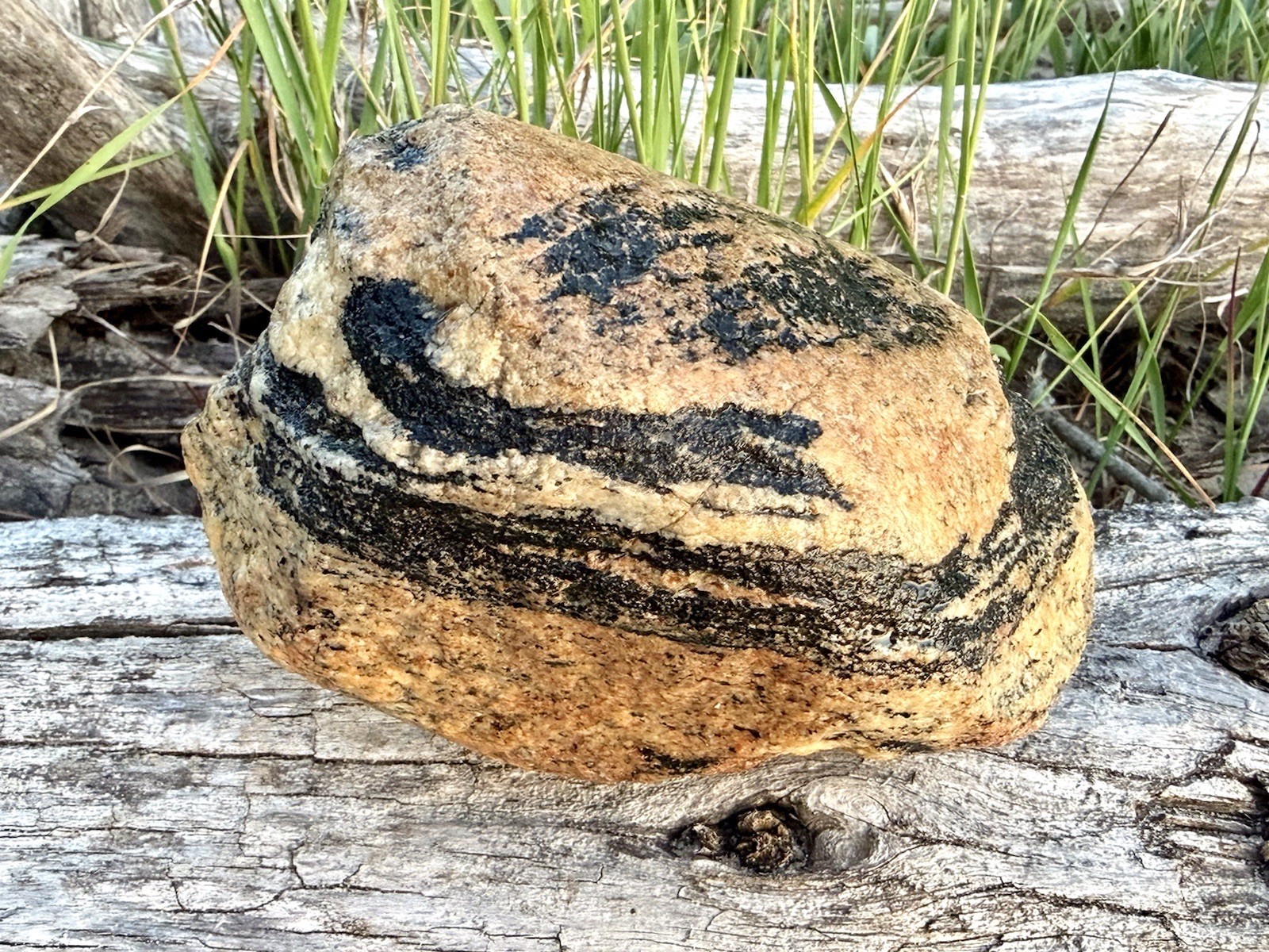 Natural Lake Michigan Rock Granite Large LOOK! 👀 3lb+ READ CAREFULLY