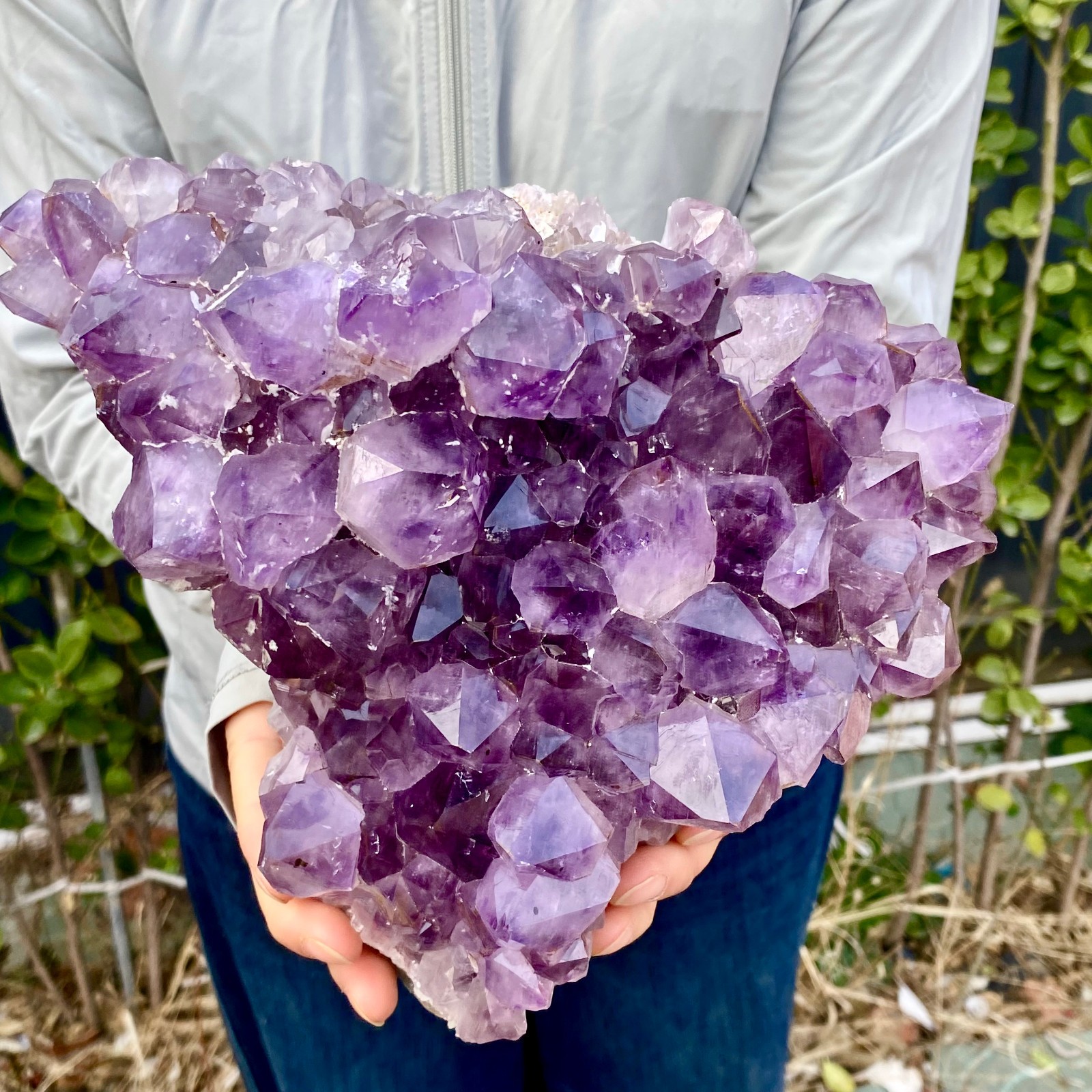 8.8LB Natural Amethyst geode quartz cluster crystal specimen Healing
