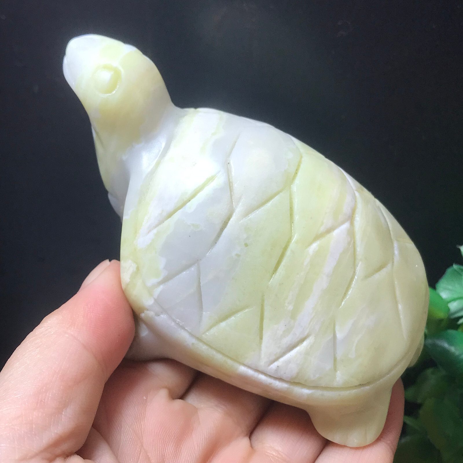 350g Green Jasper Quartz Hand Carved Crystal tortoise 01
