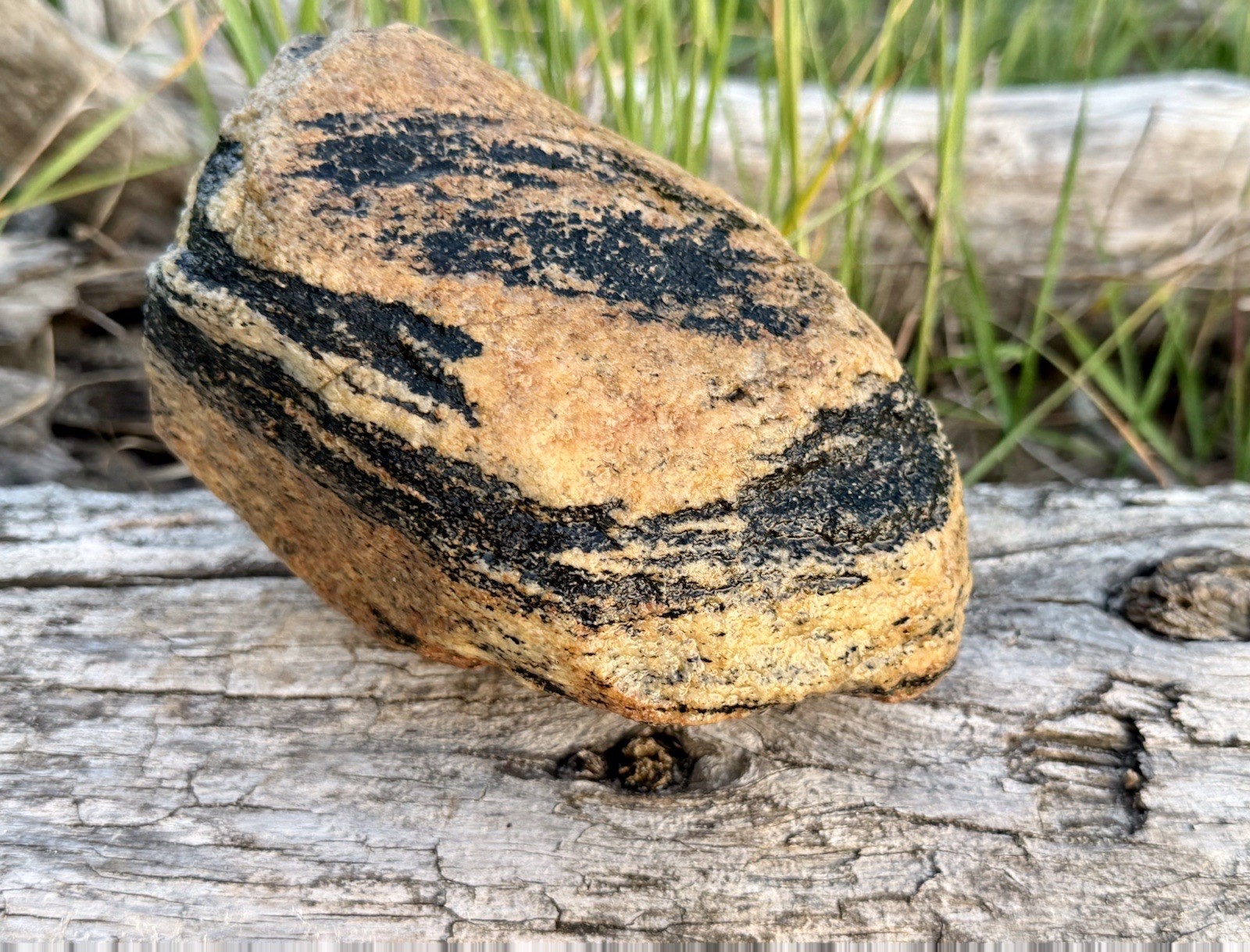 Natural Lake Michigan Rock Granite Large LOOK! 👀 3lb+ READ CAREFULLY