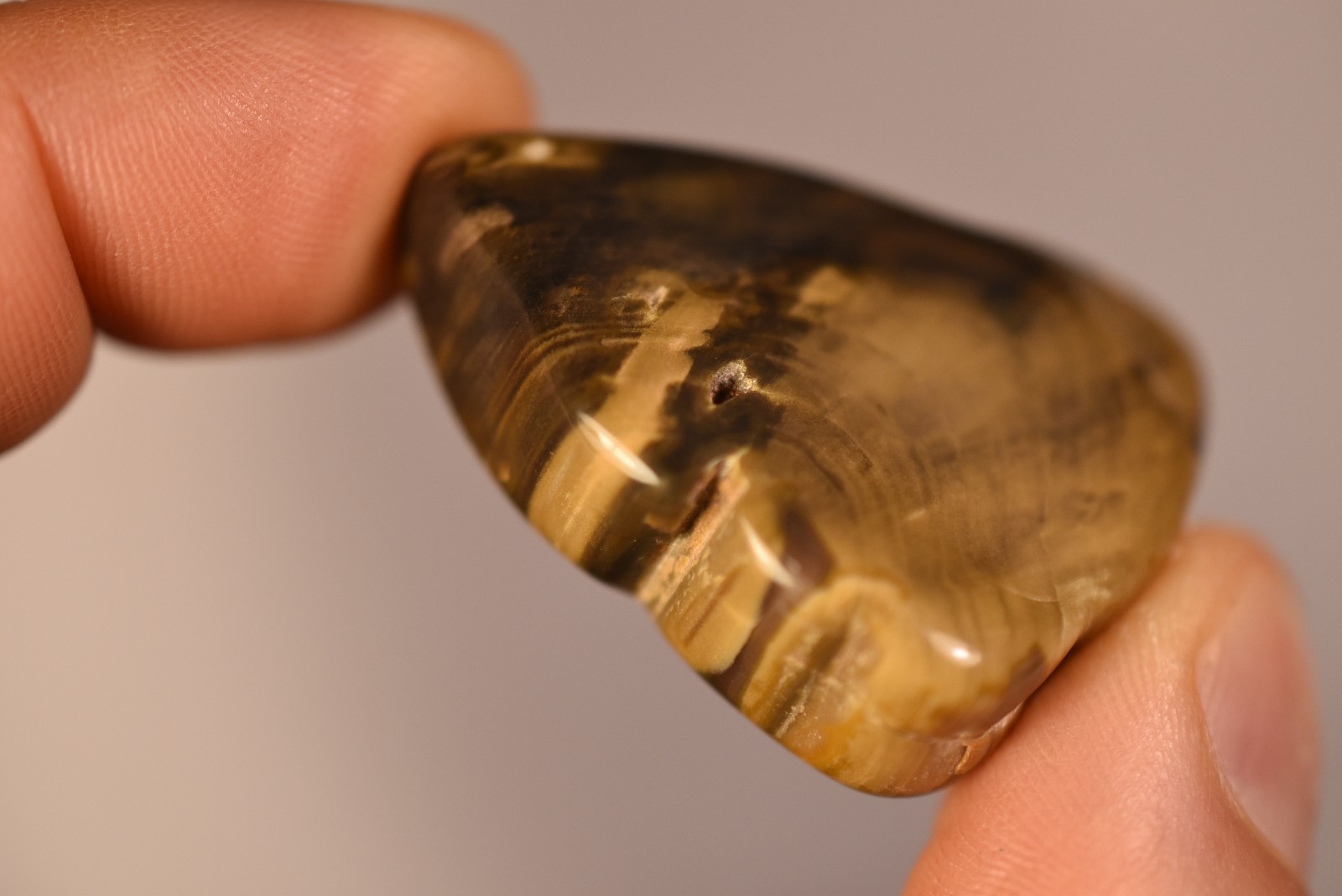 2 *AUSTRALIAN PETRIFIED WOOD* Tumbled Stones 4cm 58.2g Natural Stone QLD