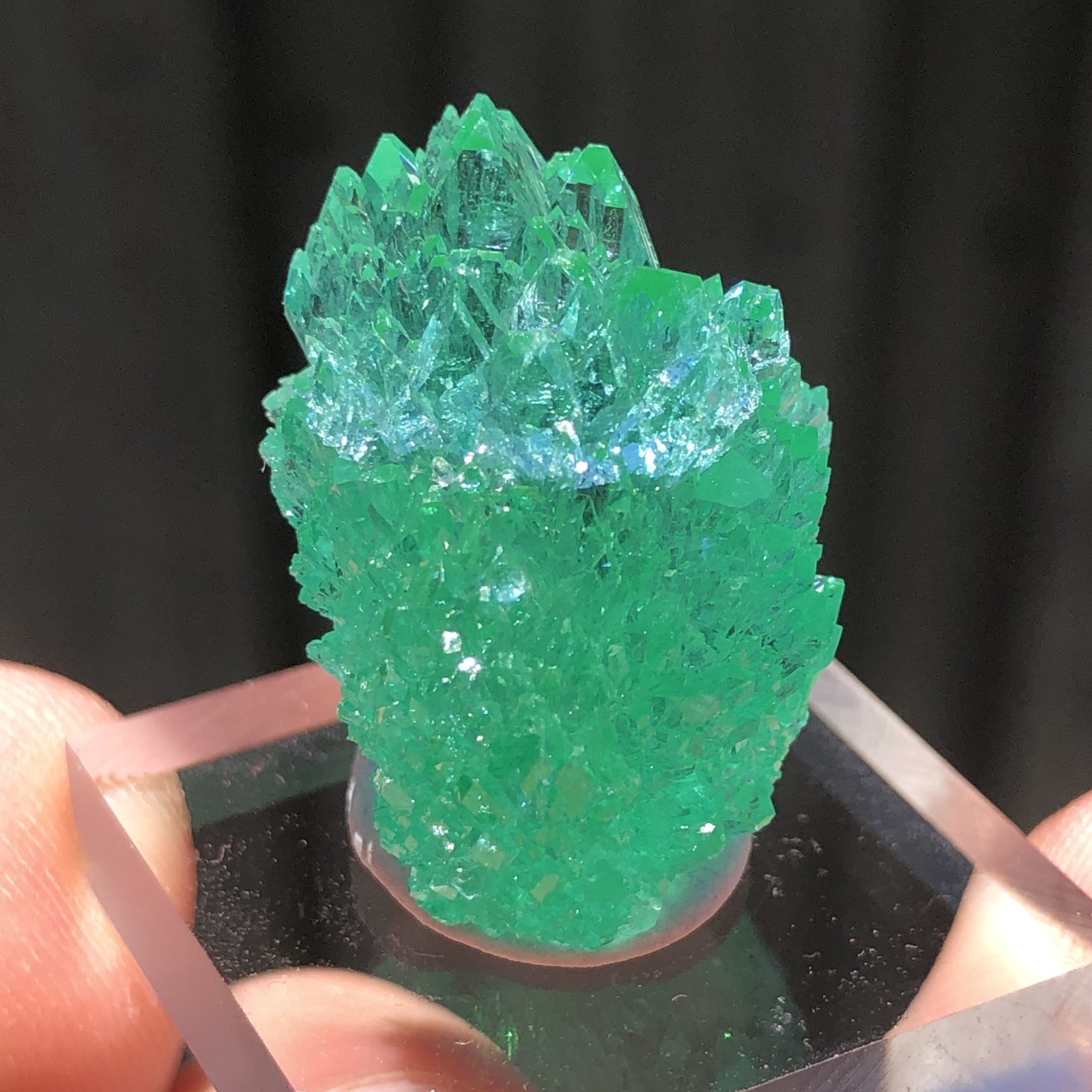 2.4cm Emerald Green Apophyllite Crystals with Stilbite from Madhya Pradesh, Indi