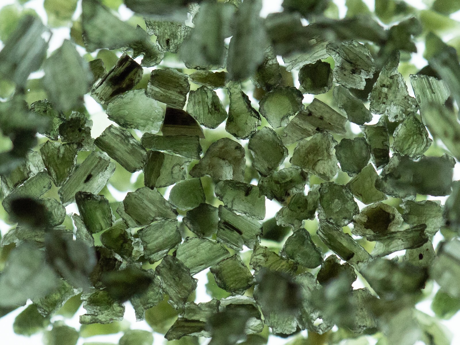 Authentic Raw Moldavite Impact Glass From The Czech Republic