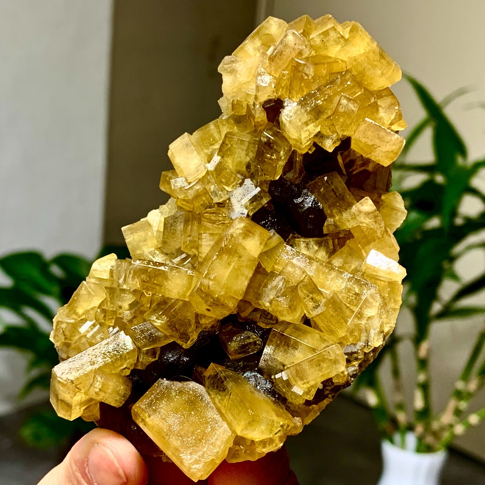 300G Shiny Golden Cuboid Barite Crystal Based on the Purple Spherical Fluorite