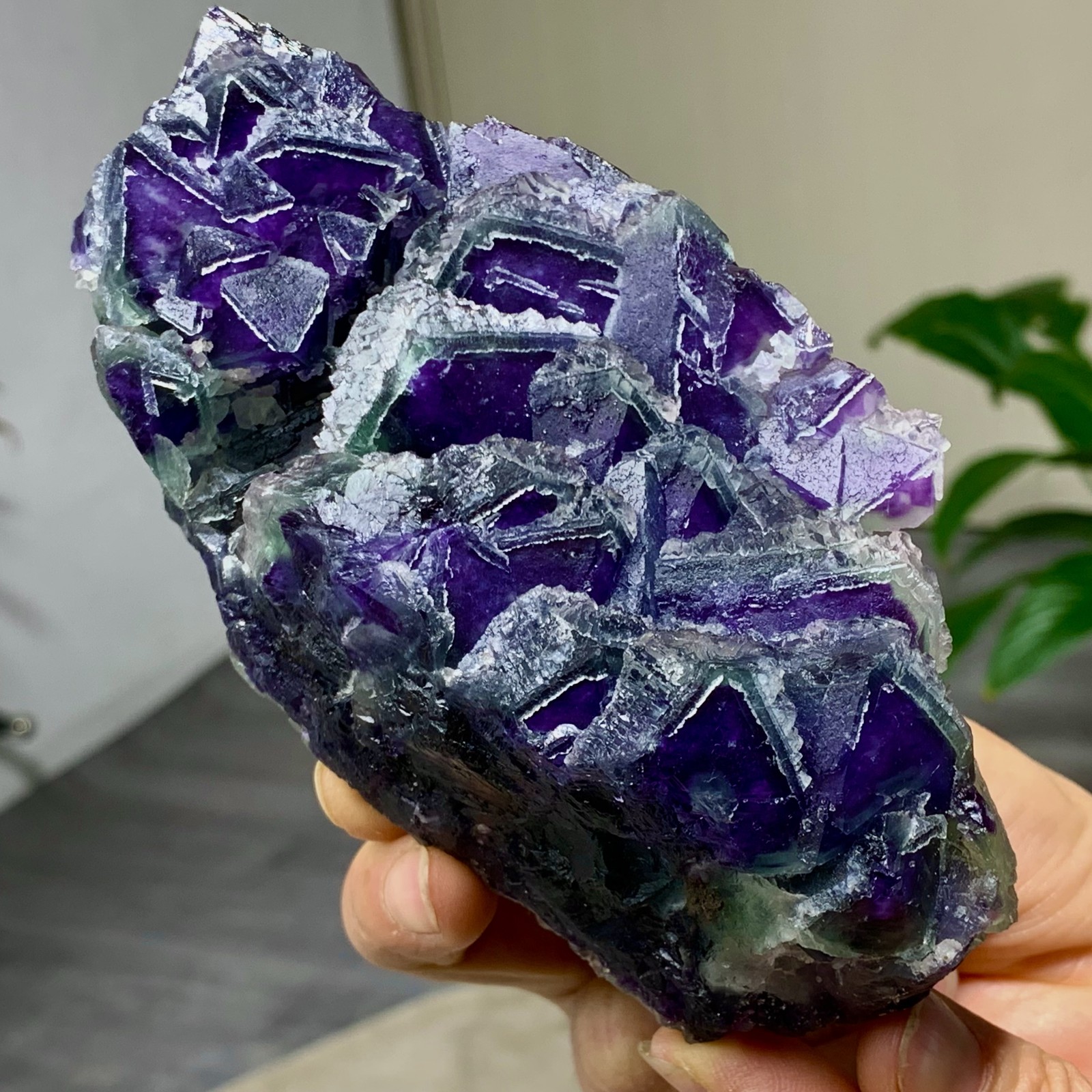 643G Rare transparent purple octahedron fluorite mineral crystal sample/China