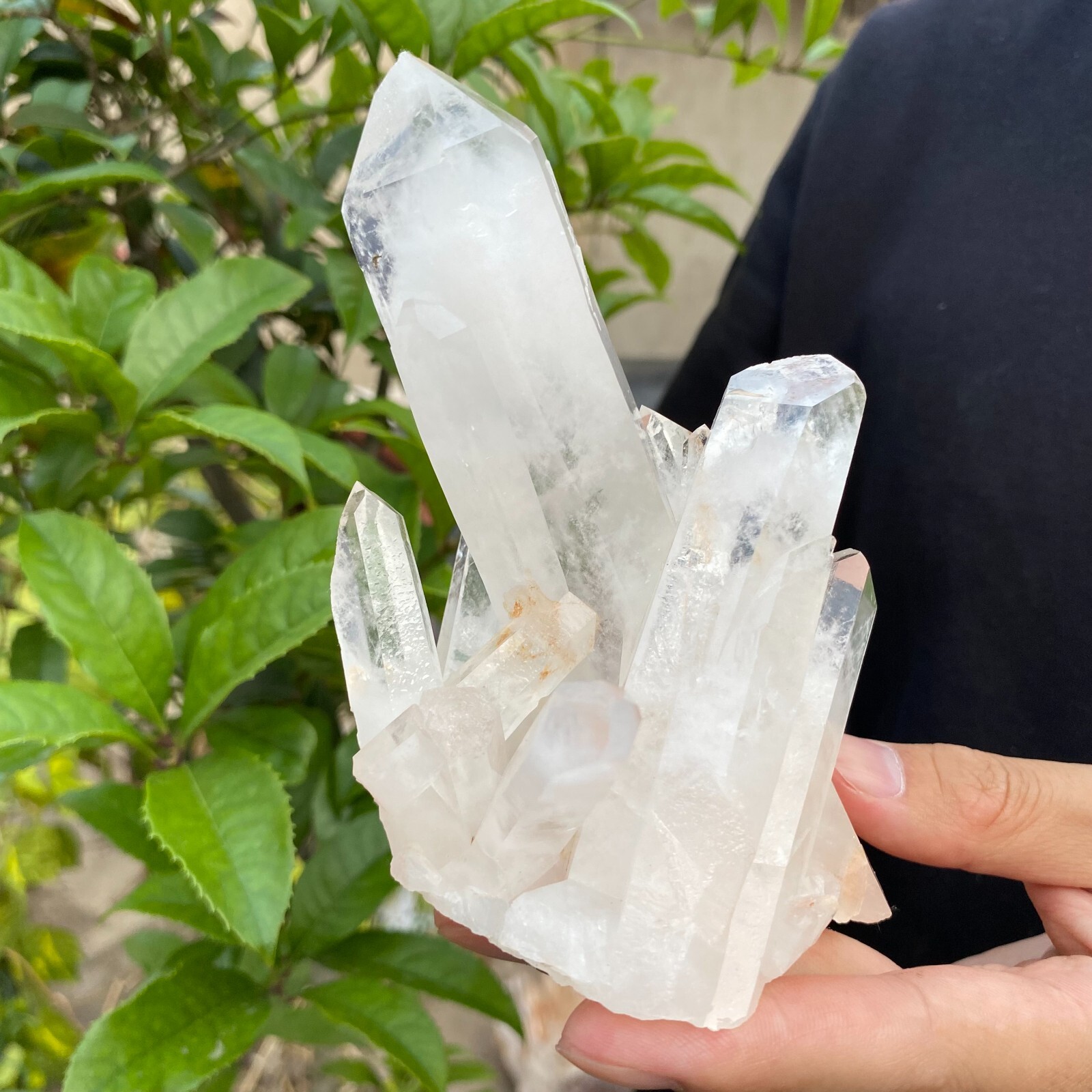 1.1lb Natural Clear White quart Crystal Cluster Raw Healing Specimen