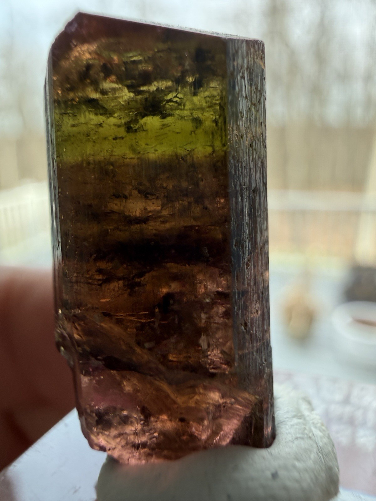 Green Madagascar Tourmaline Crystal Specimen 6.49g 23x13mm