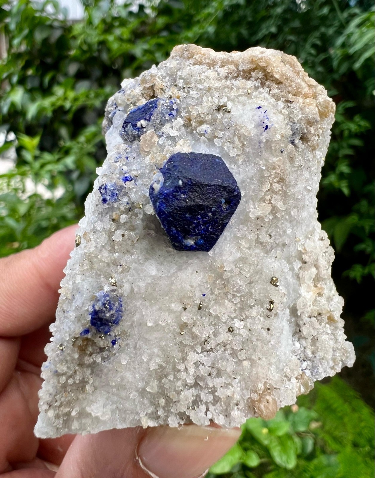 220 gram Top Quality Very Beautiful Lazurite specimen On Matrix Stone @ Afg