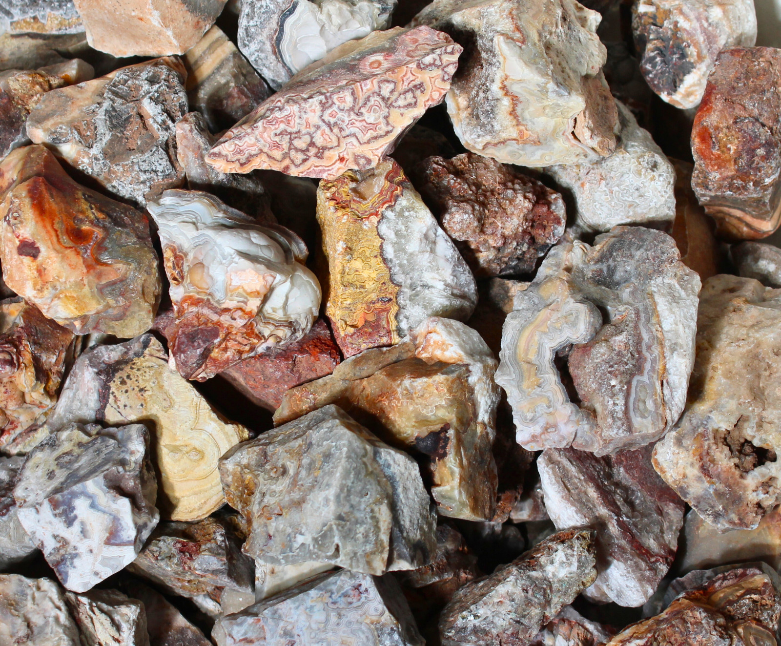 Crazy Lace Agate – Rough Rocks for Tumbling – Bulk Wholesale 1LB options