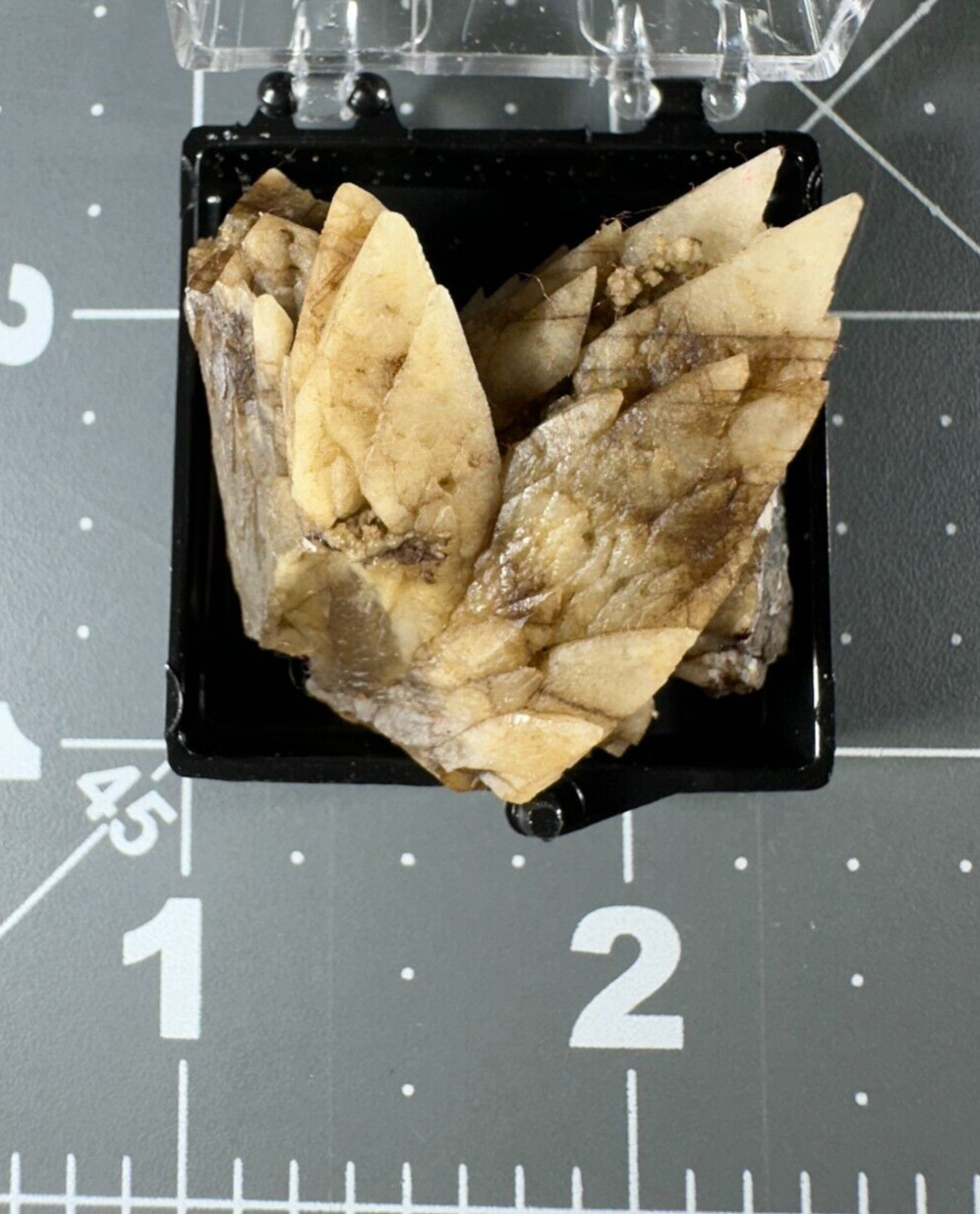 ➤ 1-3/8″ DOGTOOTH CALCITE CLUSTER Pleasant Ridge Rensselaer Indiana VIDEO➤430