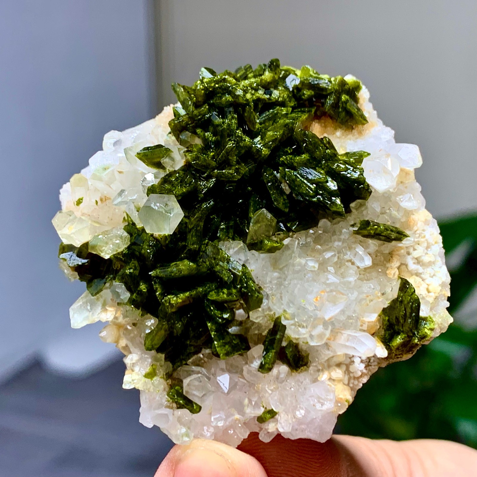 46g Natural Garden quartz cluster specimen tourmaline mineral healing SiChuan