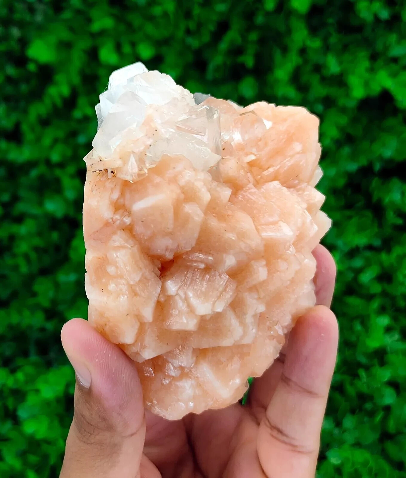 286g Natural Stilbite with Apophyllite Minerals