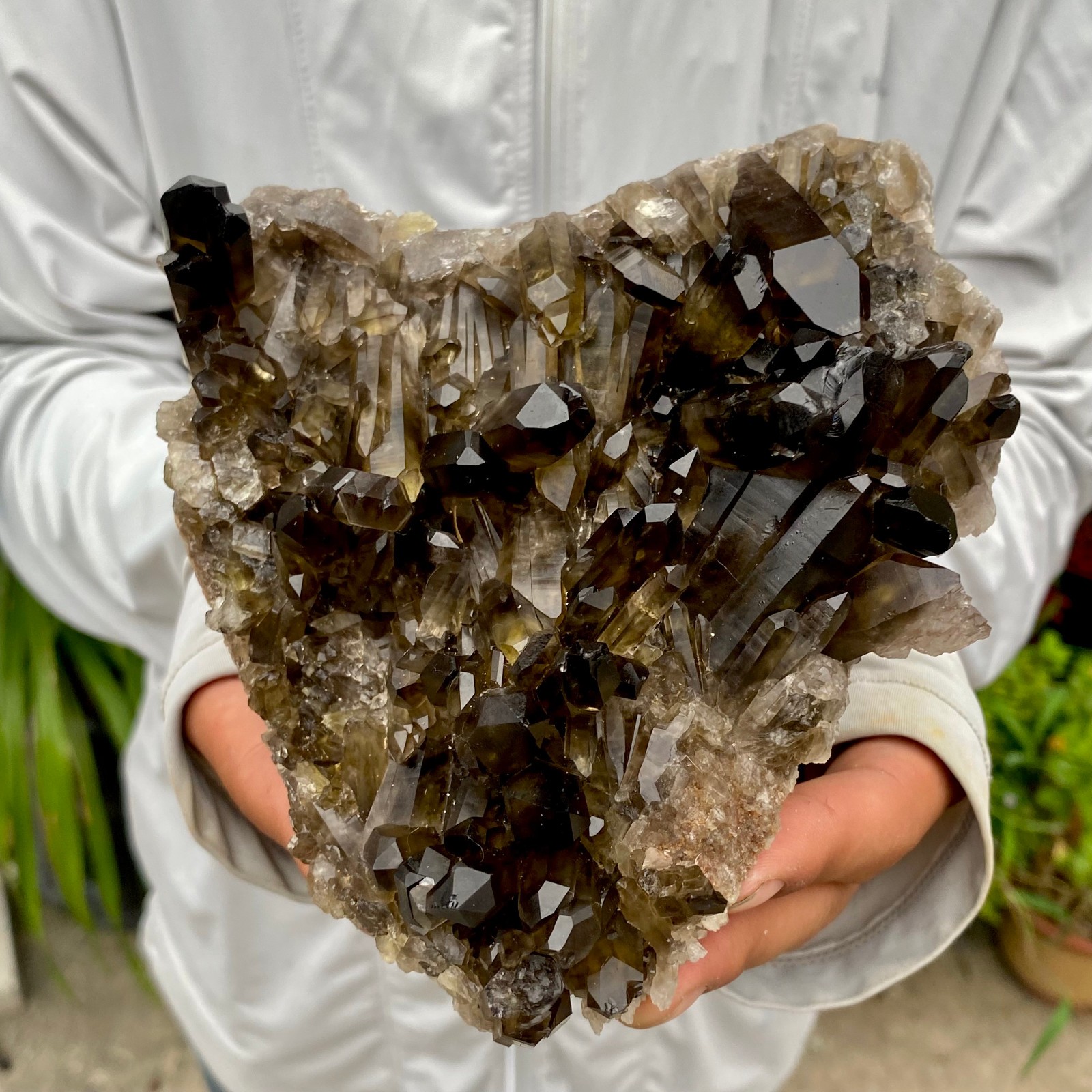 1.97LB Natural Black Smoky Quartz Crystal Cluster Raw Mineral Specimen