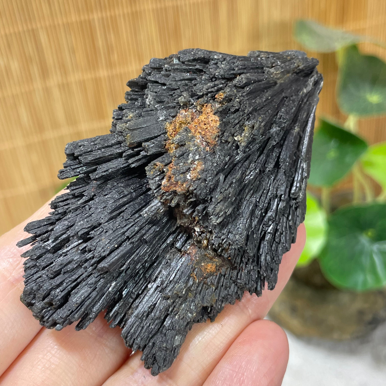 77g Natural Irregular natural black crystal cluster mineral specimen（dian qishi）