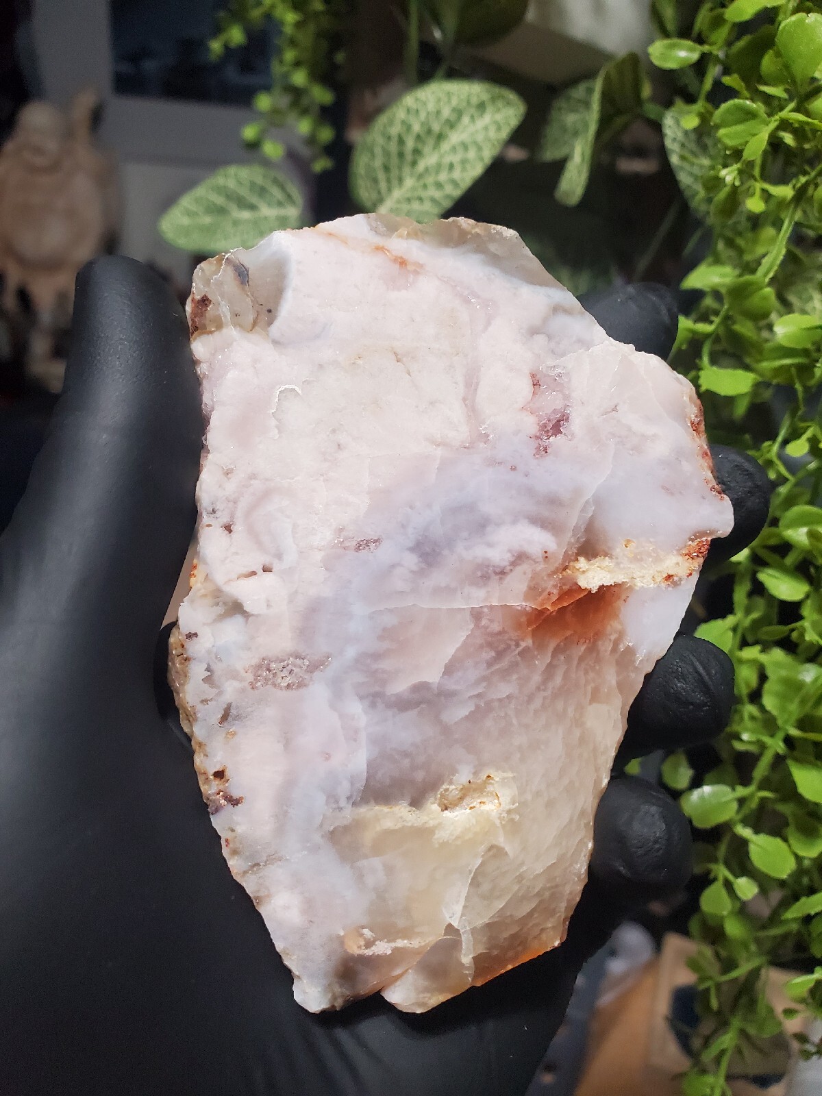 124g Beautiful Flower Agate Slice Slab Crystal Quartz Energy Healing Crystal