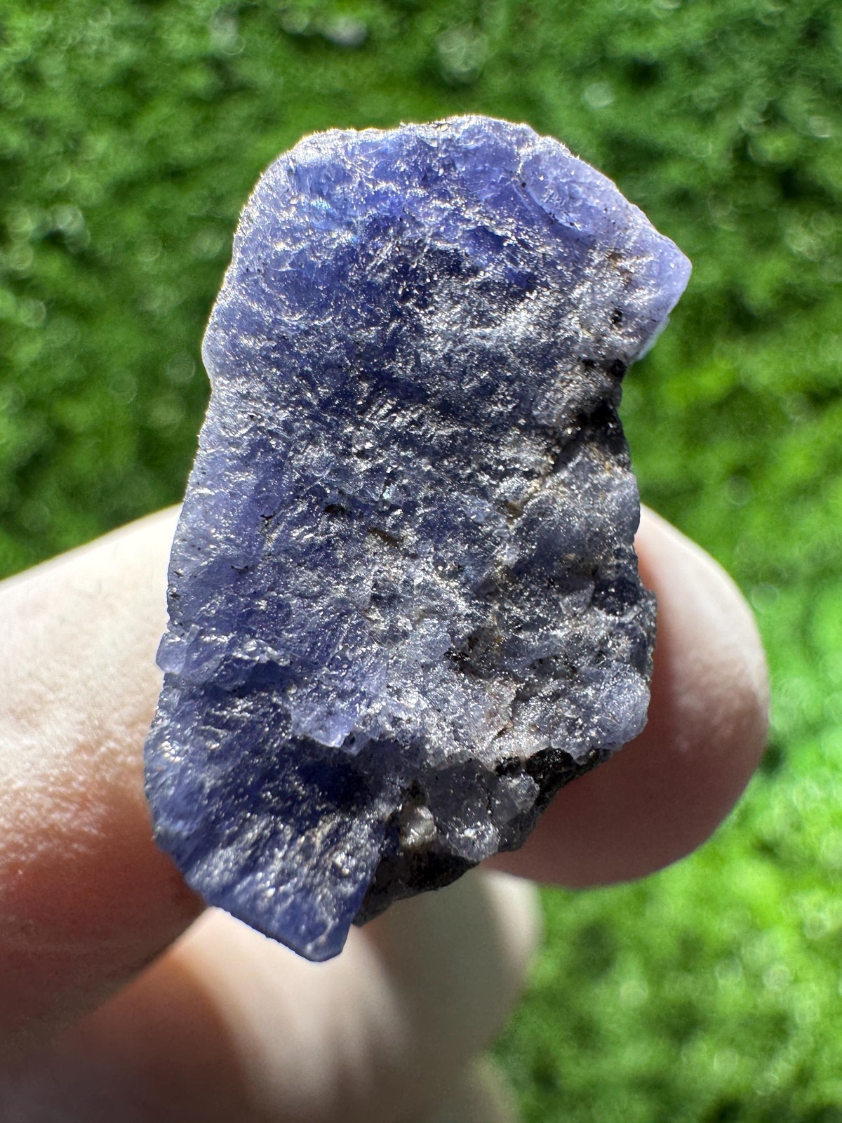 TANZANITE Crystal with COLOR CHANGE under / N638