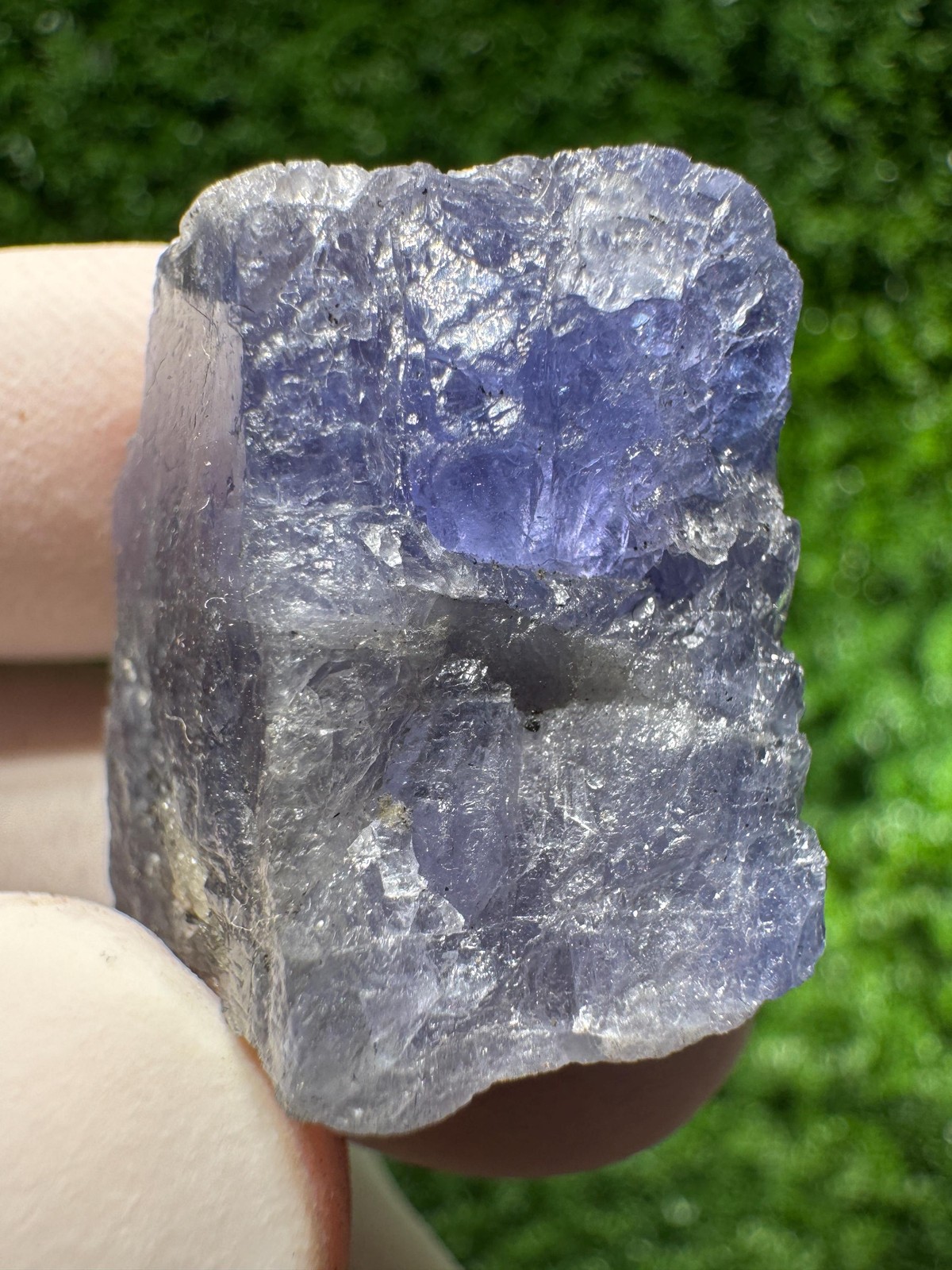 Amazing TANZANITE Crystal with COLOR CHANGE under yellow/white light / N427