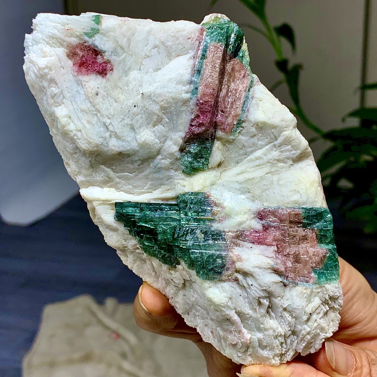 449G Natural pink-green tourmaline quartz crystal cluster mineral specimen