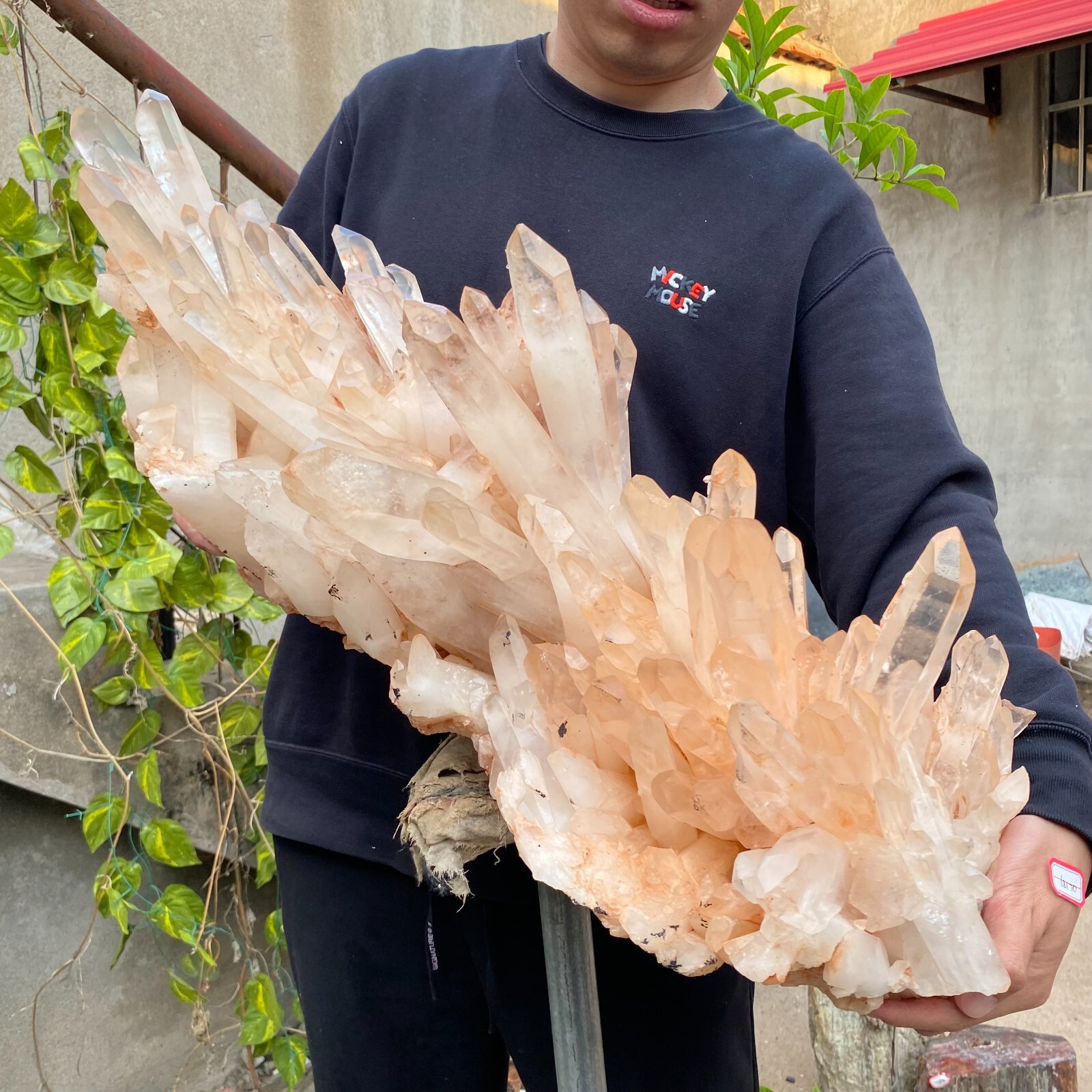 81.6lb Natural Clear White quart Crystal Cluster Raw Healing Specimen
