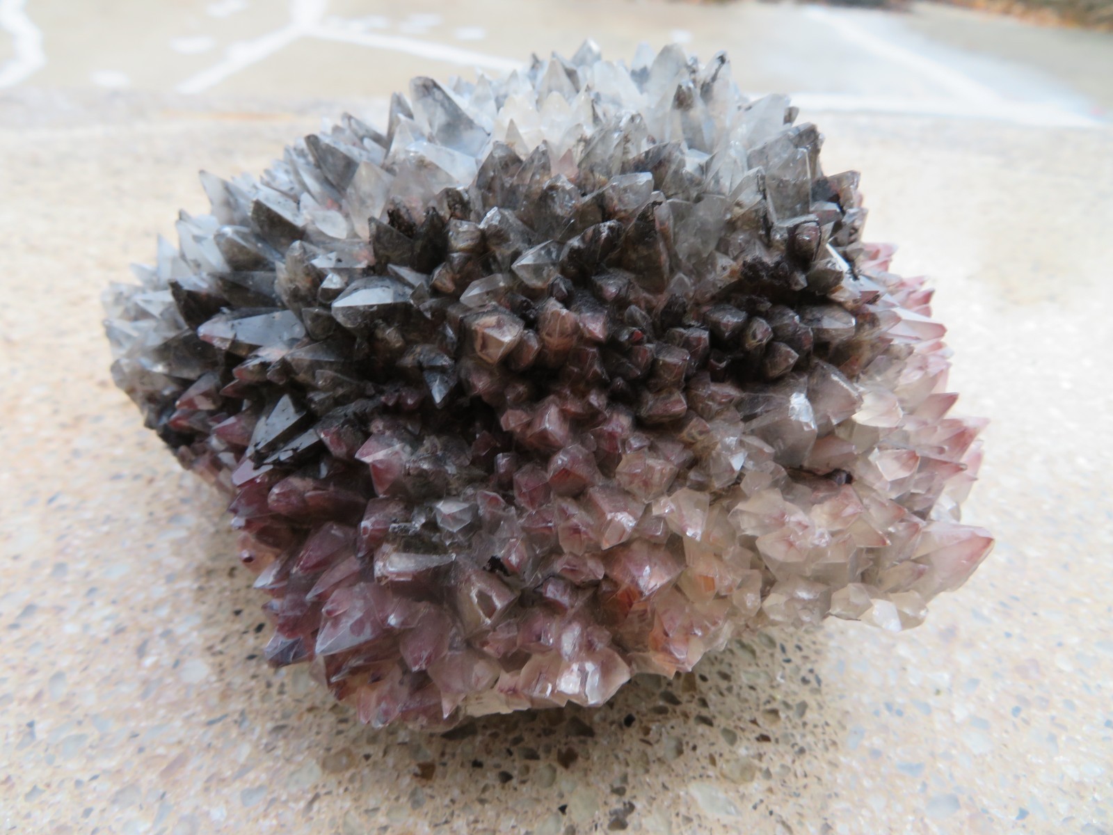 Very Rare Superb Excellent Calico Dog Tooth Calcite From San Antonio mine,Mexico