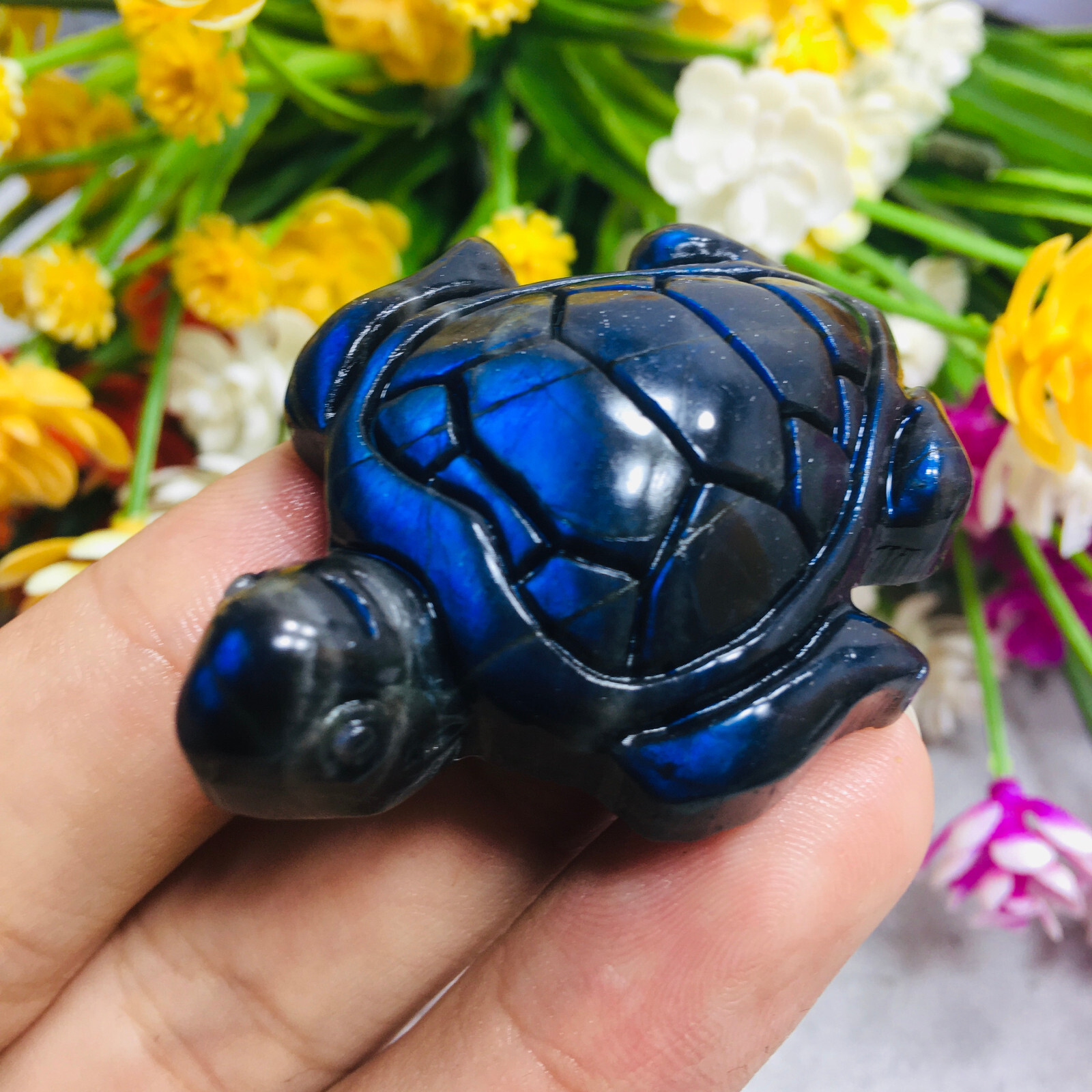 Natural Labradorite tortoise Quartz Skull Crystal Sea Turtle Reiki Healing Gift