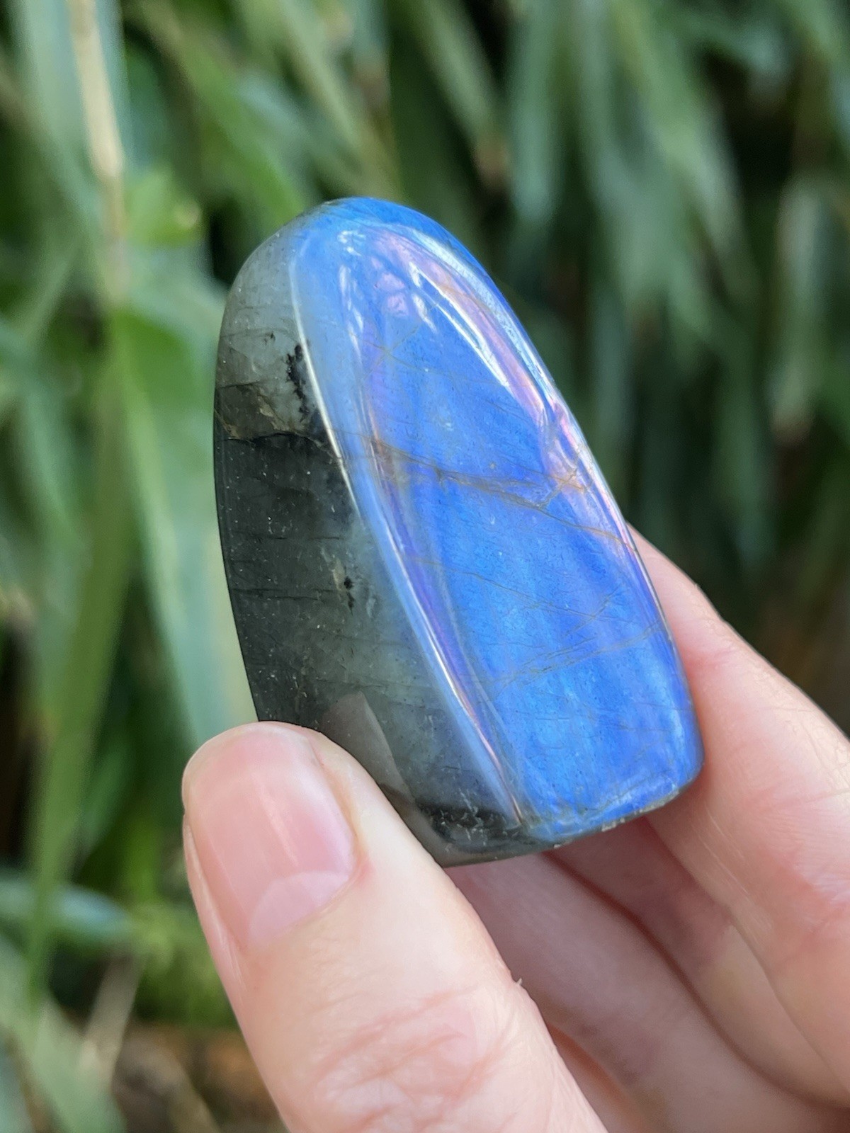 Deep Blue Labradorite Freeform Iridescent Crystal AAA+ 14