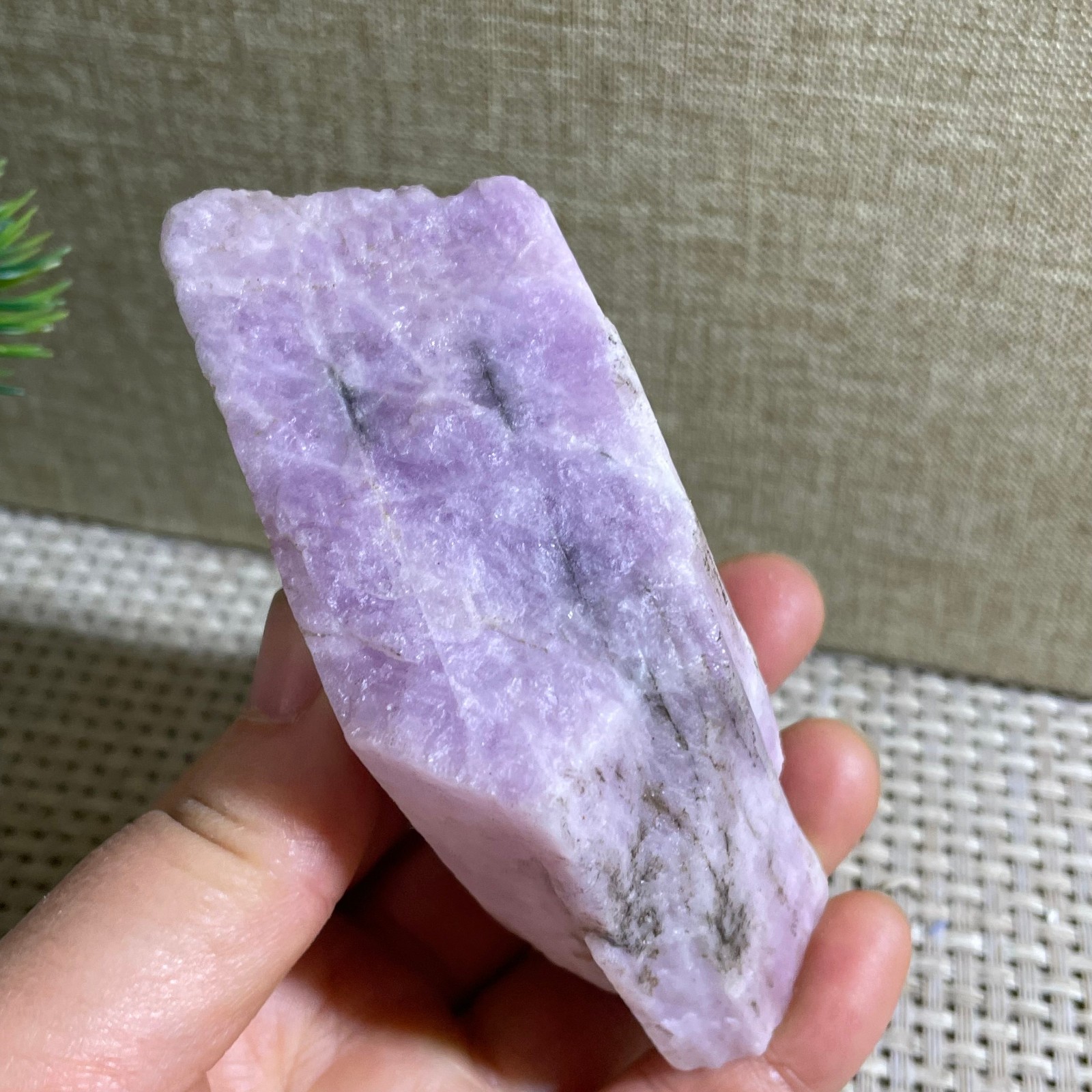 Raw Kunzite Purple Rough Healing Stone Specimens Rocks 303g g22