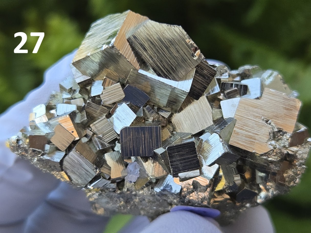 PYRITE Clusters with High-Luster Well-Formed Crystal Rare Collection