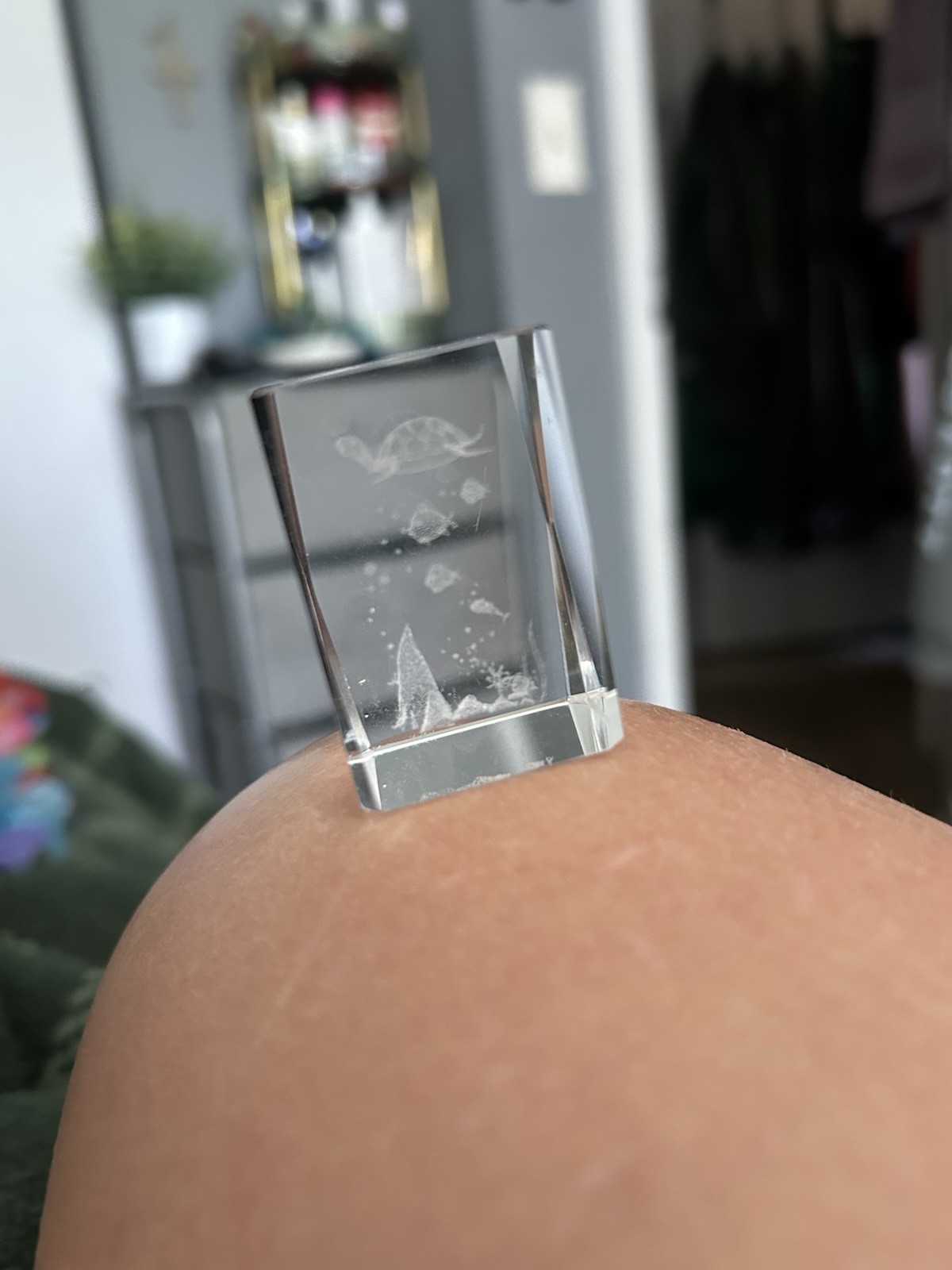 Crystal Rectangular Cube With Sea Turtle And Other Sea Life Design