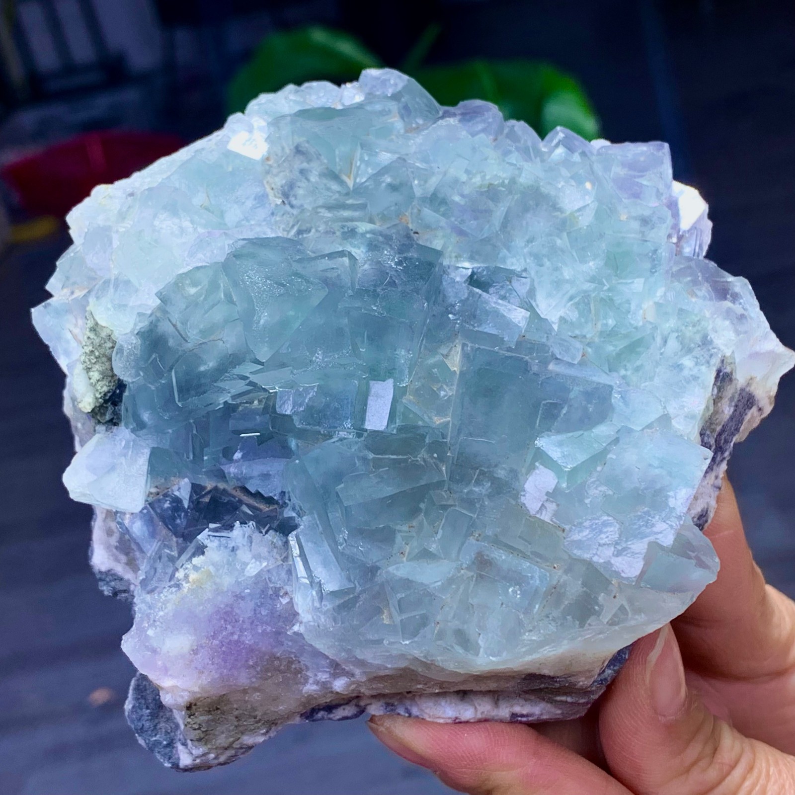 1.87LB Natural transparent green cubic fluorite mineral crystal sample/China