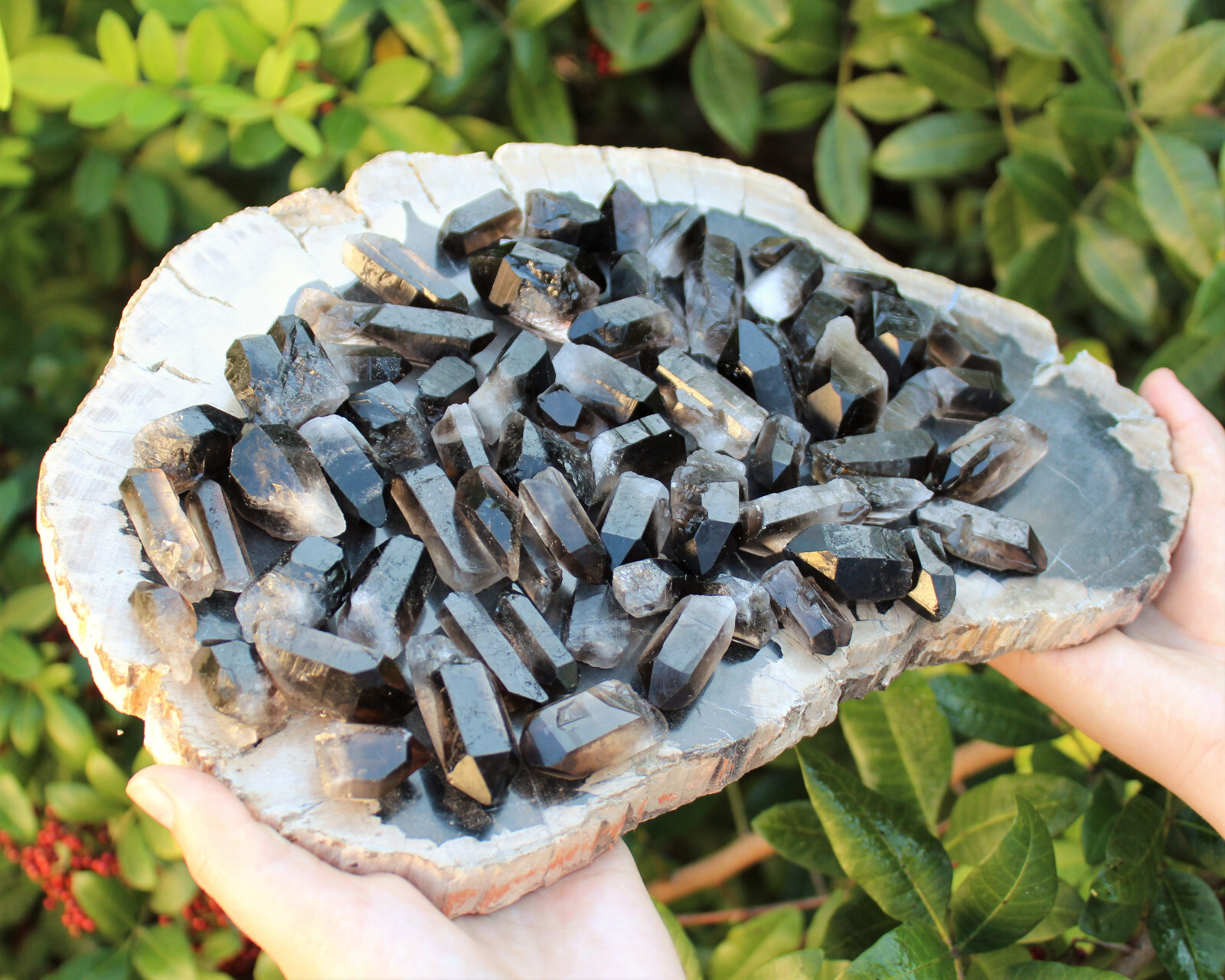 1/2 lb Bulk Wholesale Mixed Smoky & Quartz Crystal Points, Natural Clear Smokey