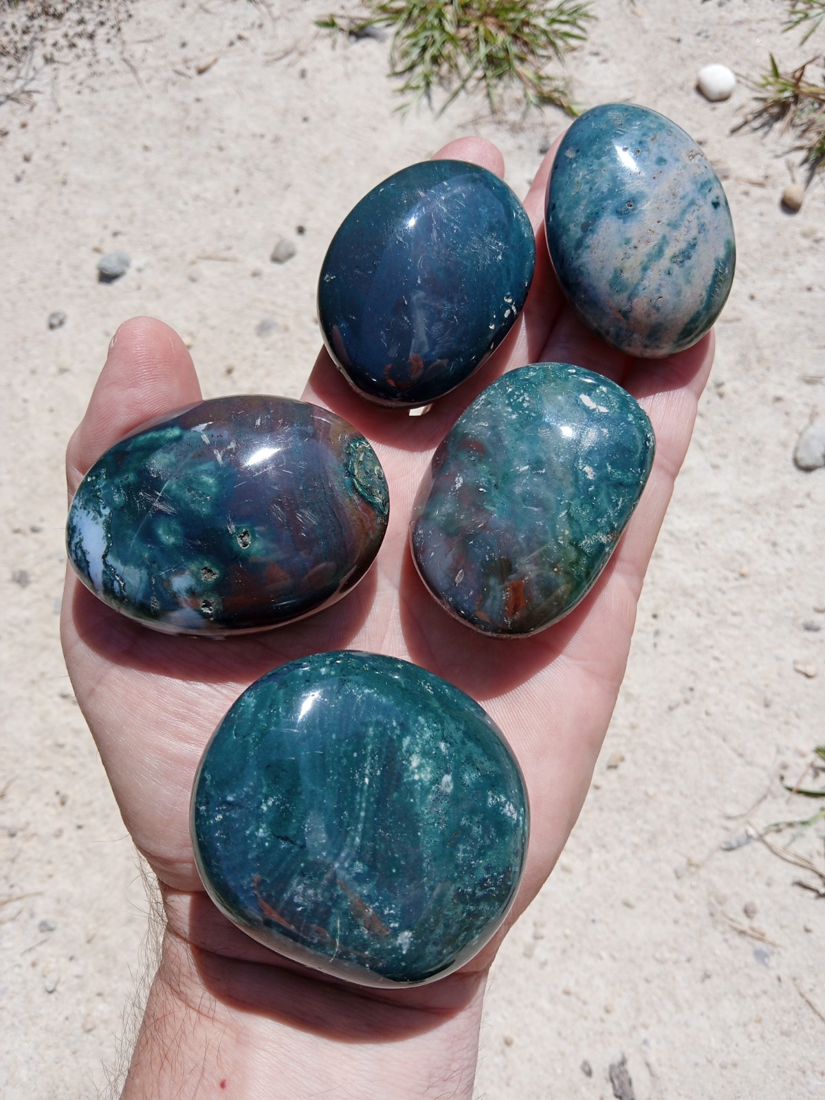 Lot of 5 Polished Multicolored Jasper Stones! Mineral Specimens Healing. 1 Lb +