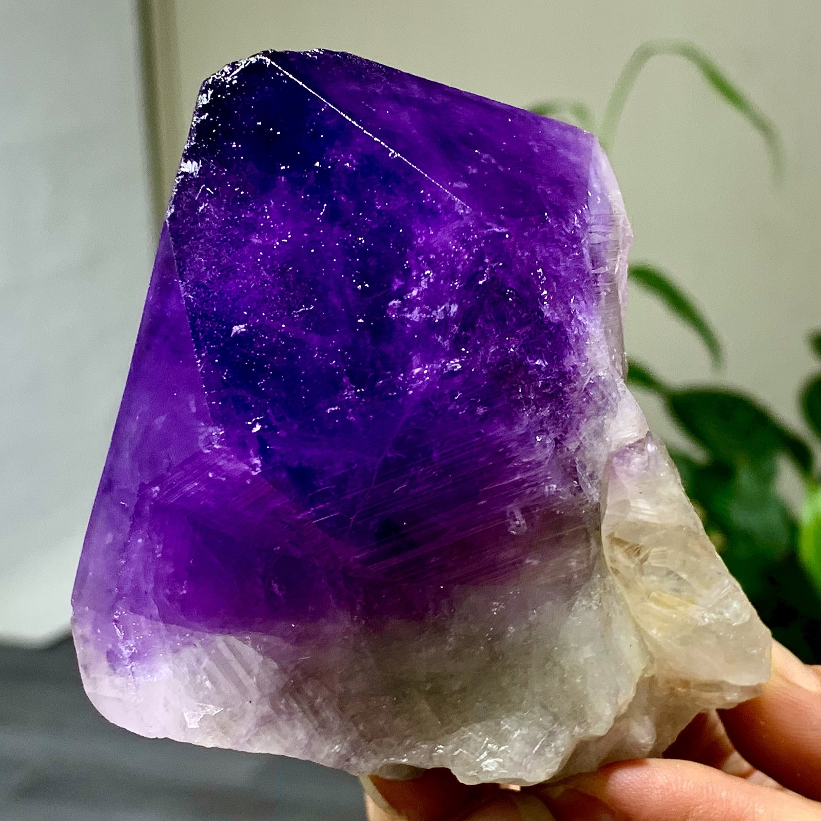 375G Natural Amethyst Quartz Crystal Single-End Terminated Wand Point Healing