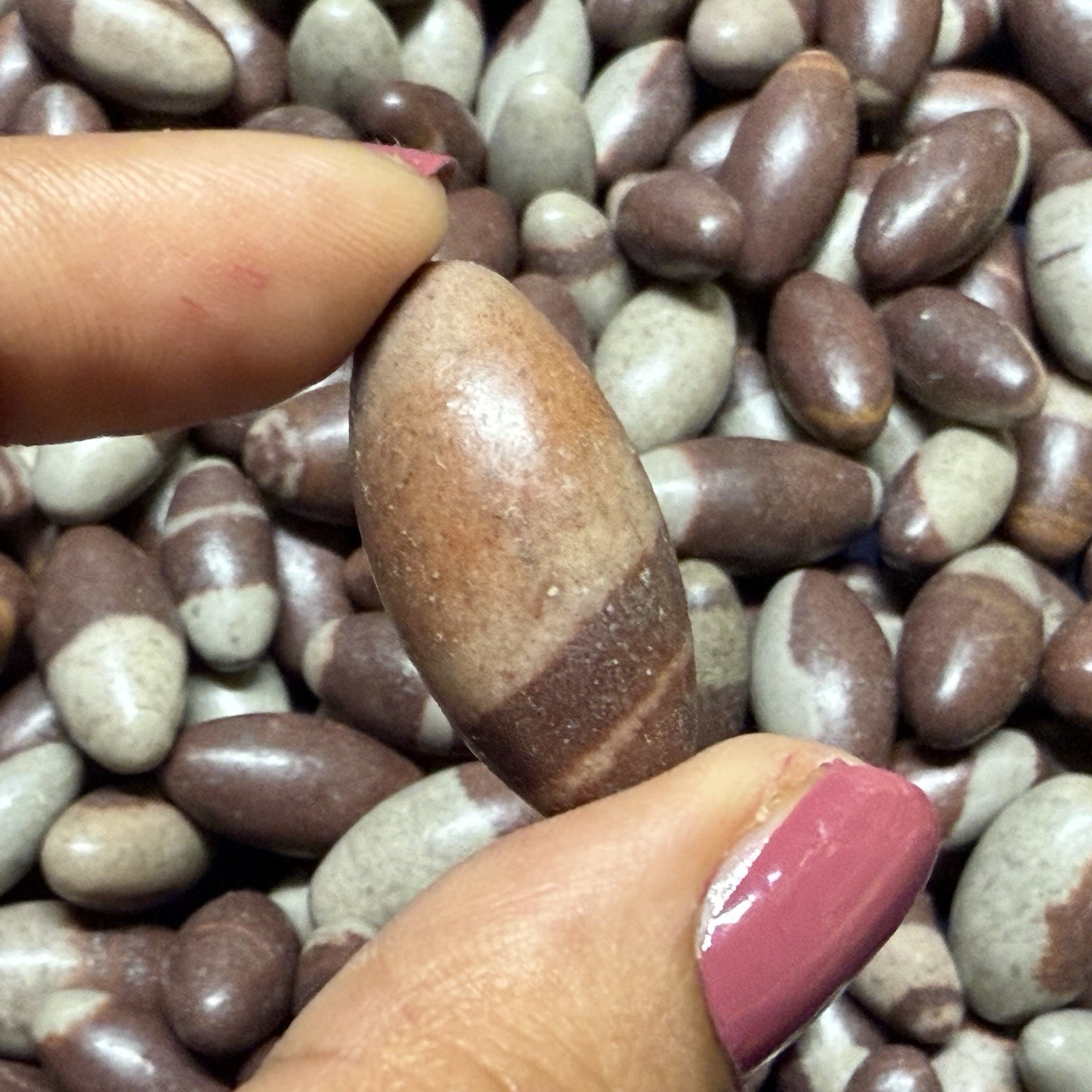 10 pc small 1” Shiva Lingam stone from India – Narmada River High Quality