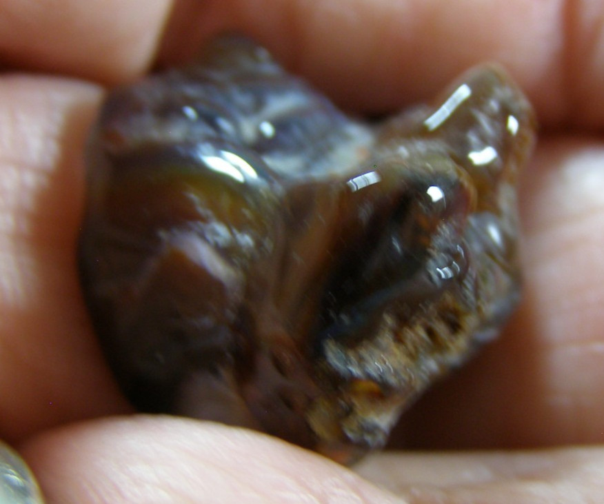 TUMBLED GEMMY NATURAL FIRE AGATE electromagnetic filter 1.9 x 1.8 cm 4.95 gm #7