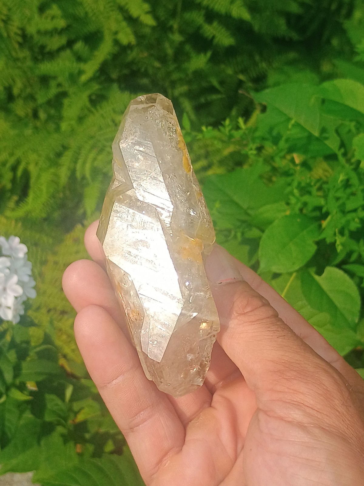 (RARE!!!) Herkimer 💎 Golden Healer Miner Direct From NY ❤️