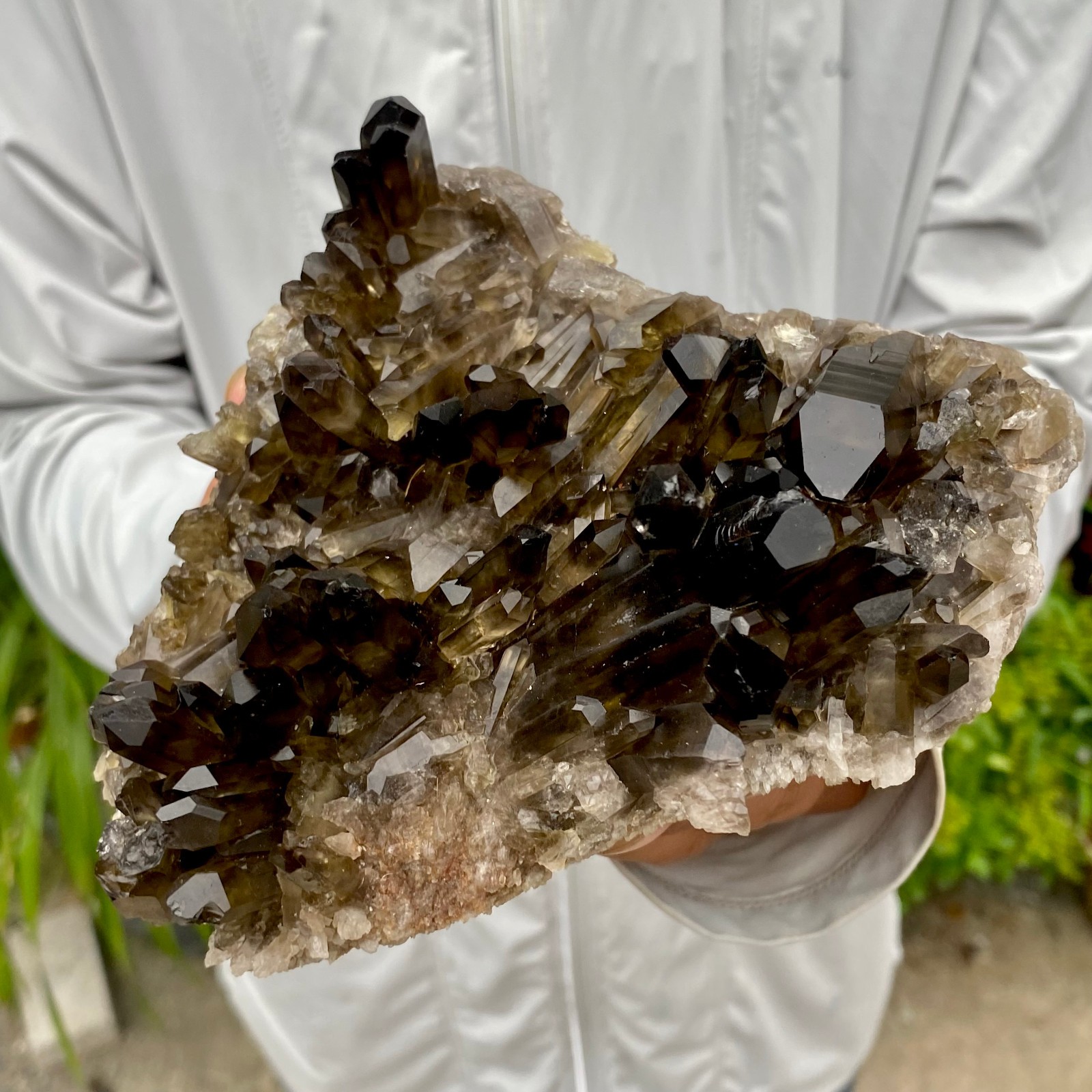 1.97LB Natural Black Smoky Quartz Crystal Cluster Raw Mineral Specimen