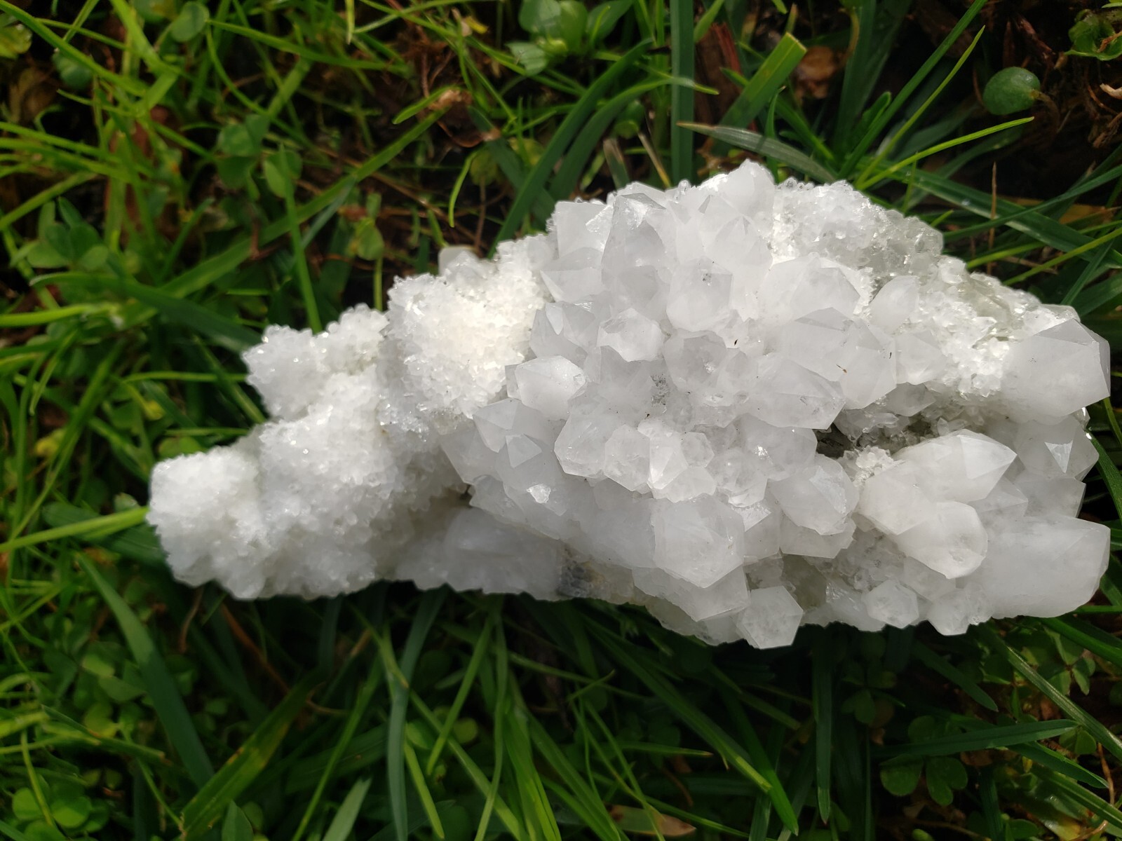 Natural White Quartz Crystal on Fluorite Cluster Specimen, 175g or 6.2oz