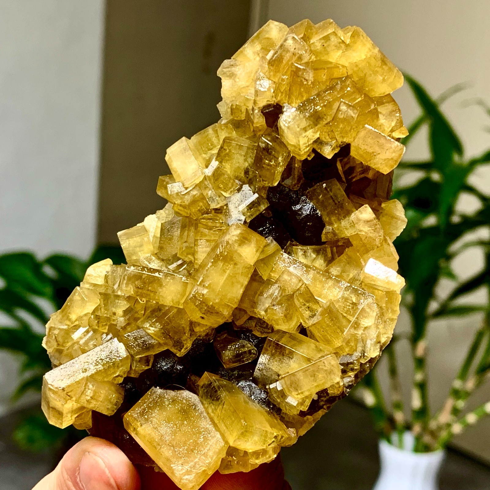 300G Shiny Golden Cuboid Barite Crystal Based on the Purple Spherical Fluorite