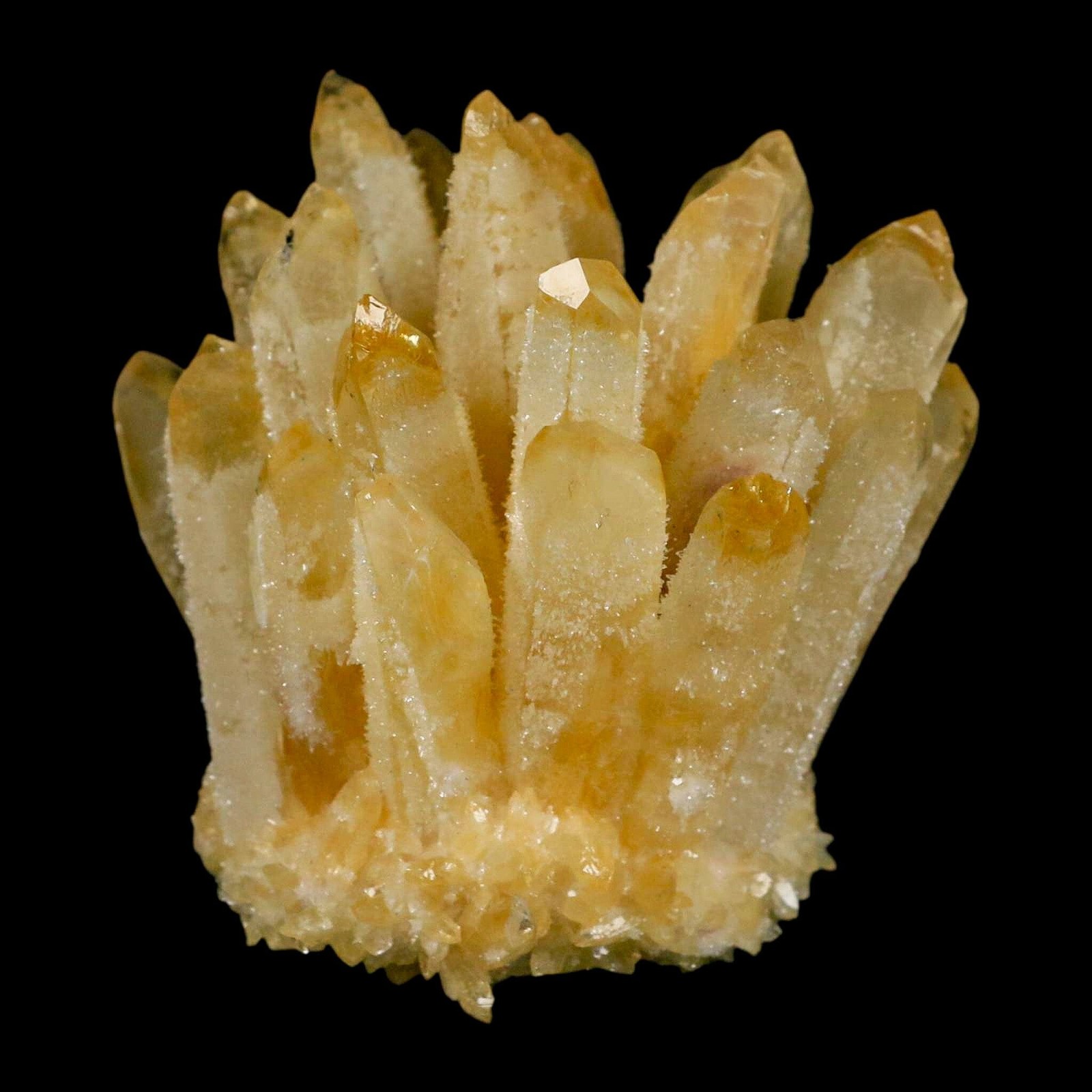 3.1″ Yellow Phantom Ghost Quartz Crystal, Chlorite Cluster Mineral Specimen
