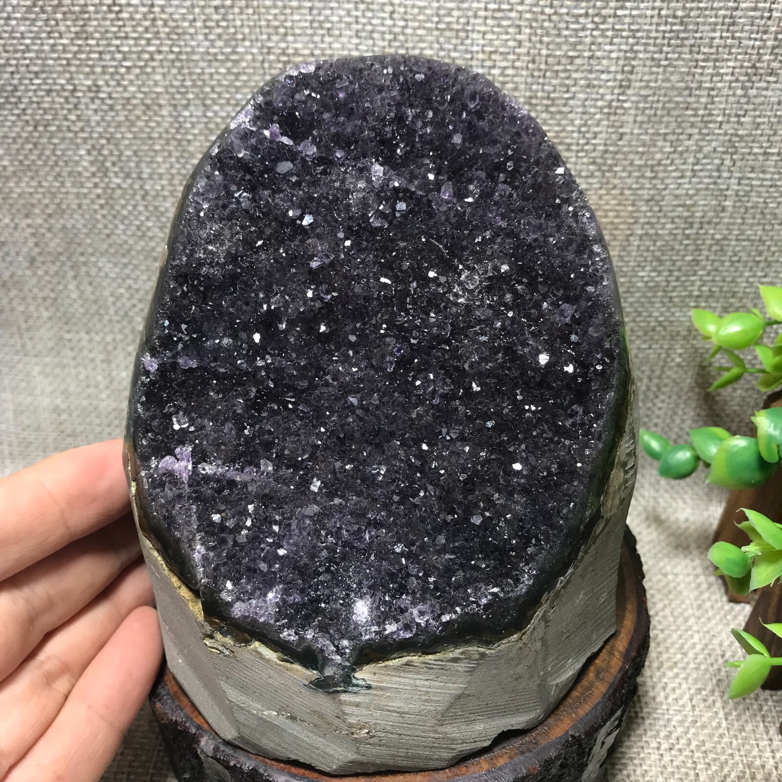 1281g Natural Amethyst Cluster Geodes Cut Base Quartz Crystal Healing 44
